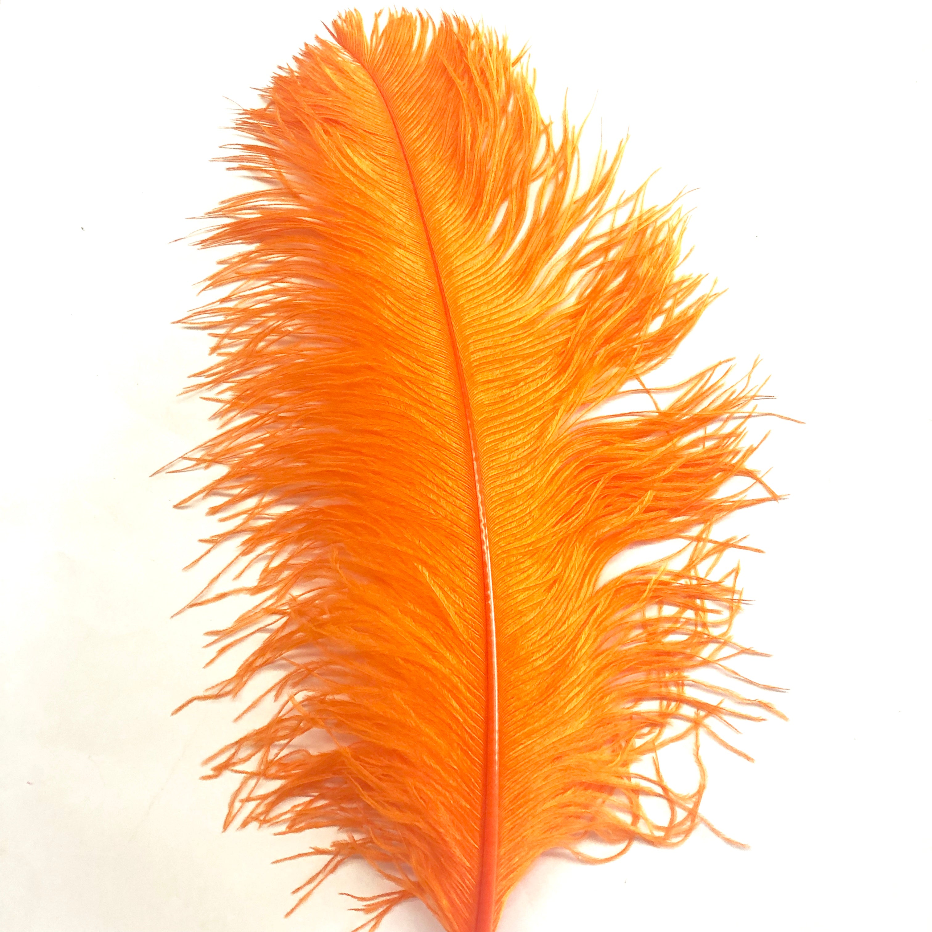Ostrich Wing Feather Plumes 50-55cm (20-22") - Orange
