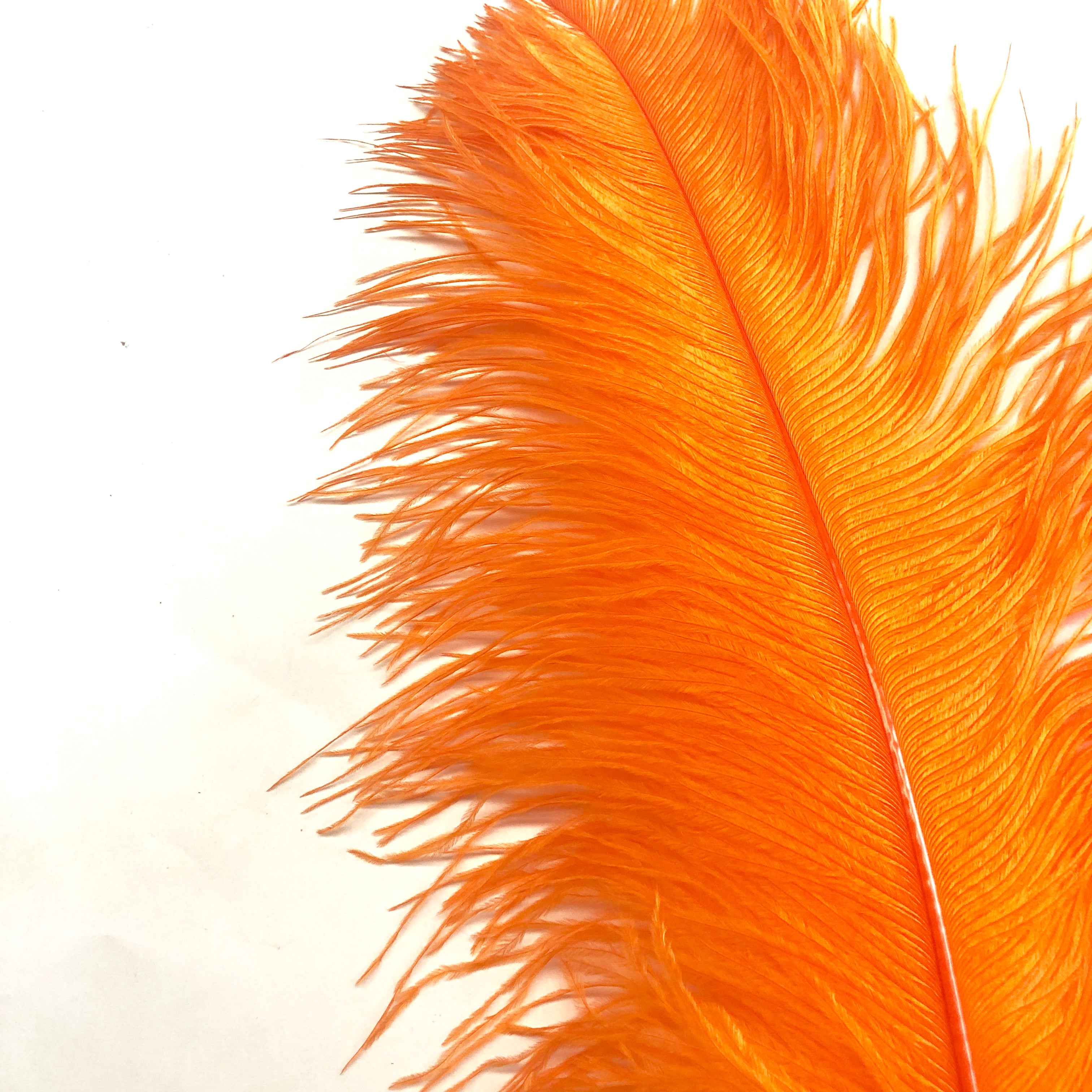 Ostrich Wing Feather Plumes 60-65cm (24-26") - Orange Wings