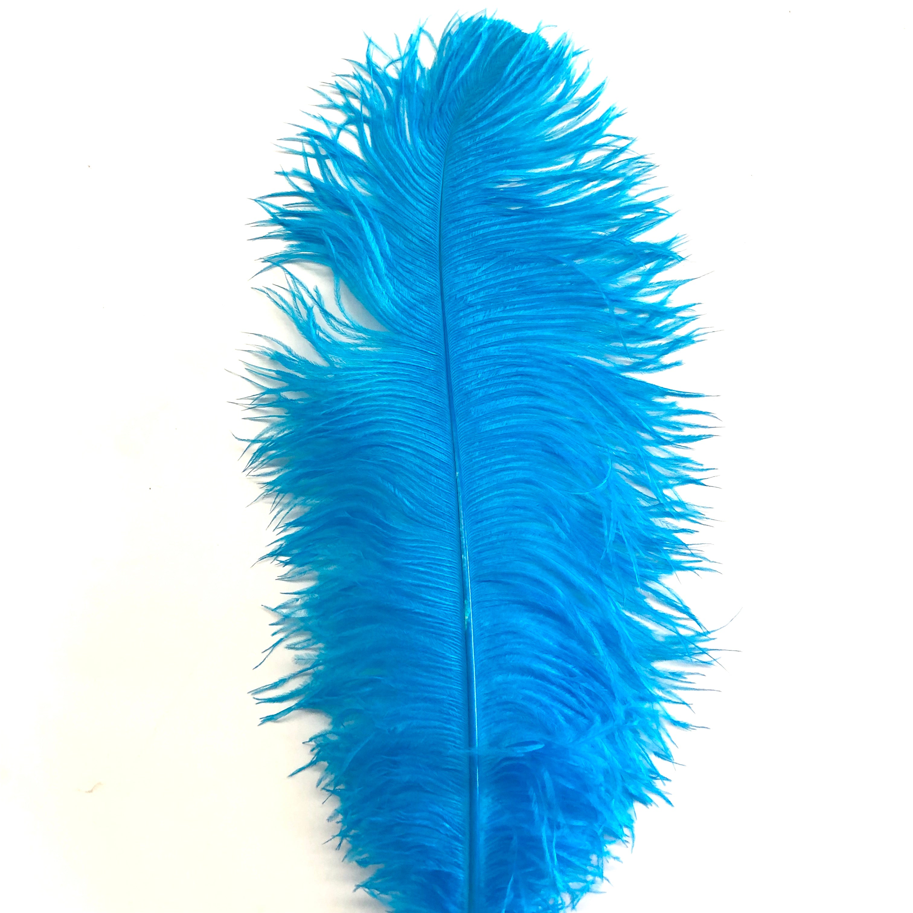 Ostrich Wing Feather Plumes 50-55cm (20-22") - Aqua