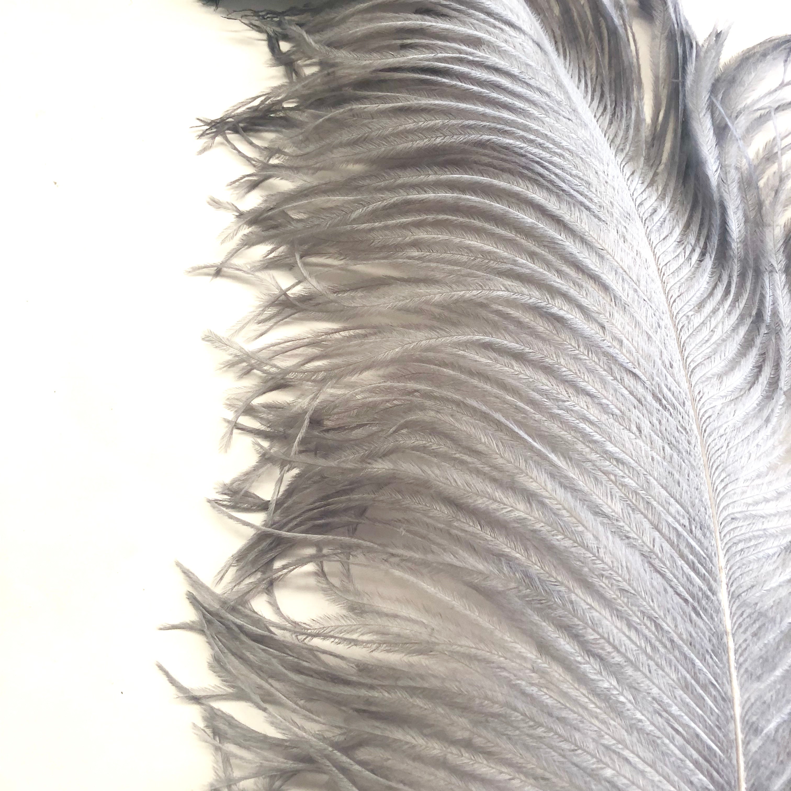 Ostrich Wing Feather Plumes 60-65cm (24-26") - Grey
