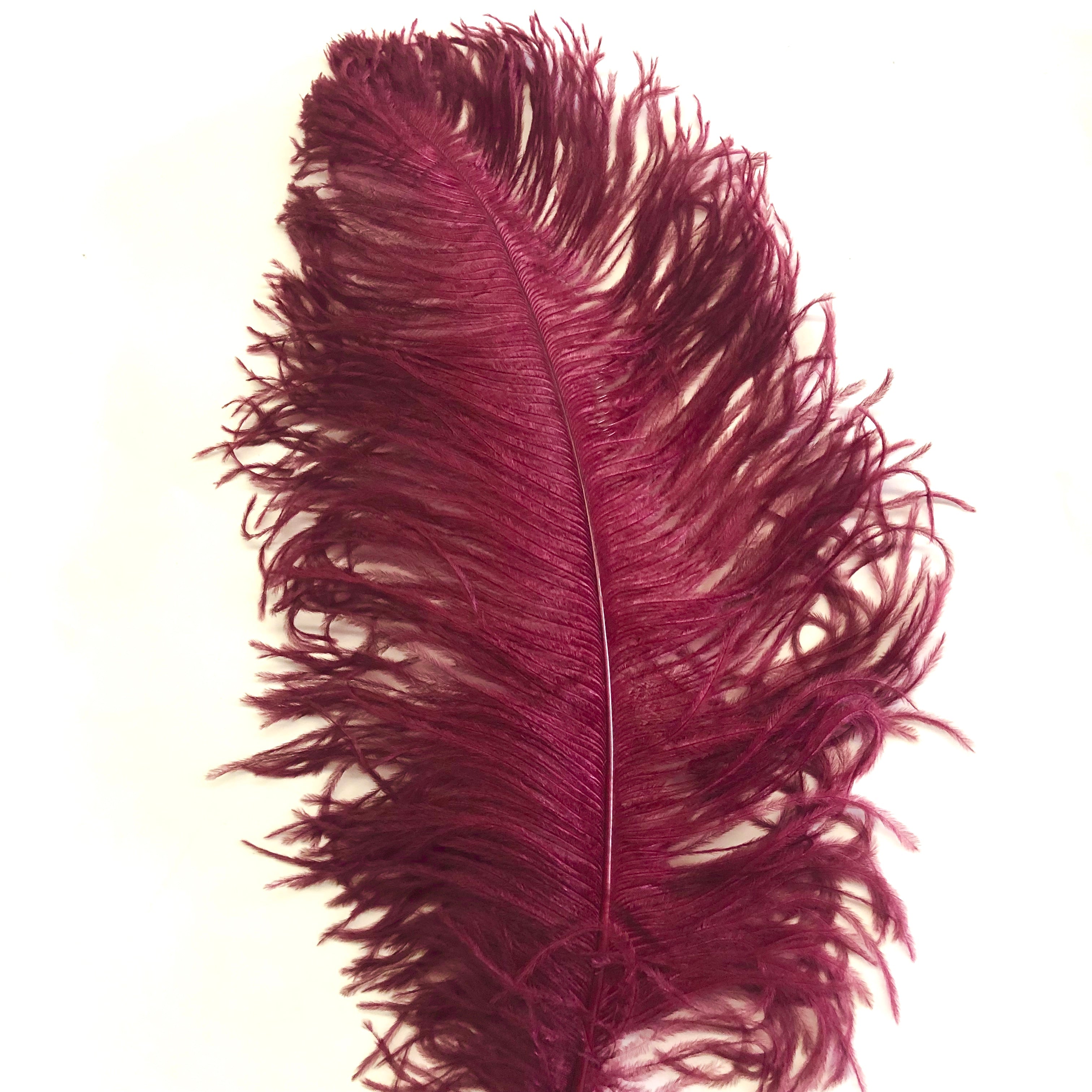 Ostrich Wing Feather Plumes 60-65cm (24-26") - Burgundy