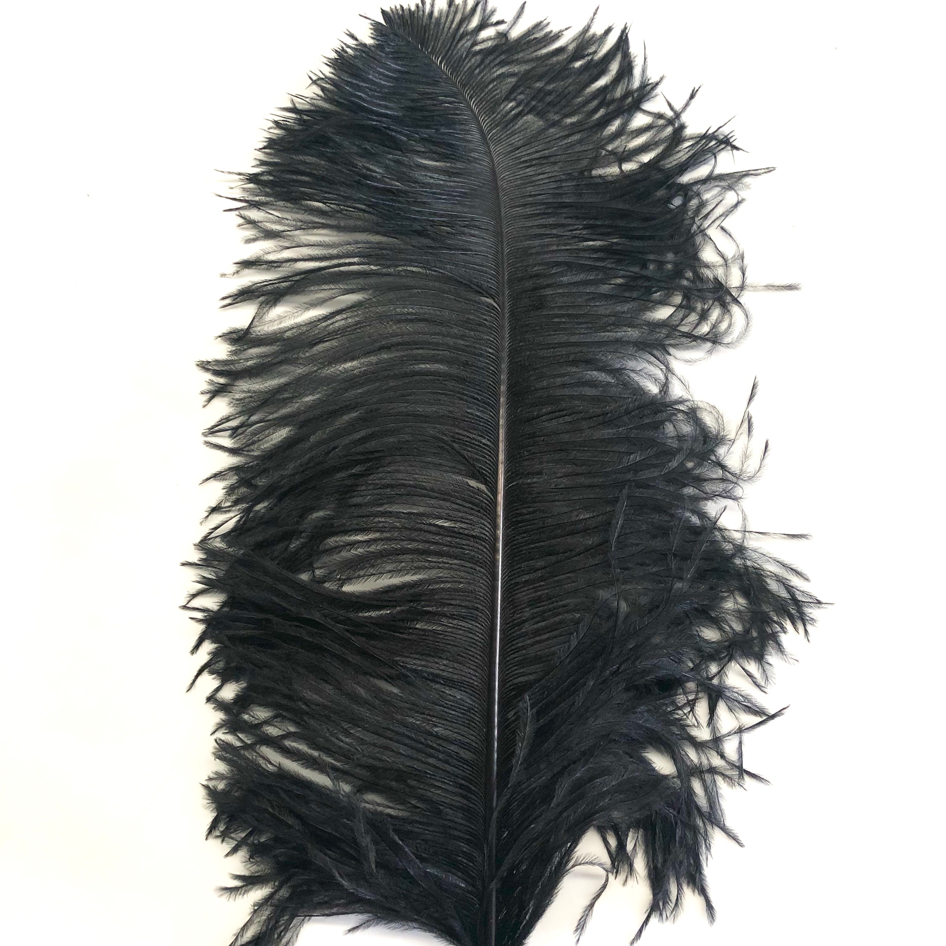 Ostrich Wing Feather Plumes 60-65cm (24-26") - Black ((SECONDS))