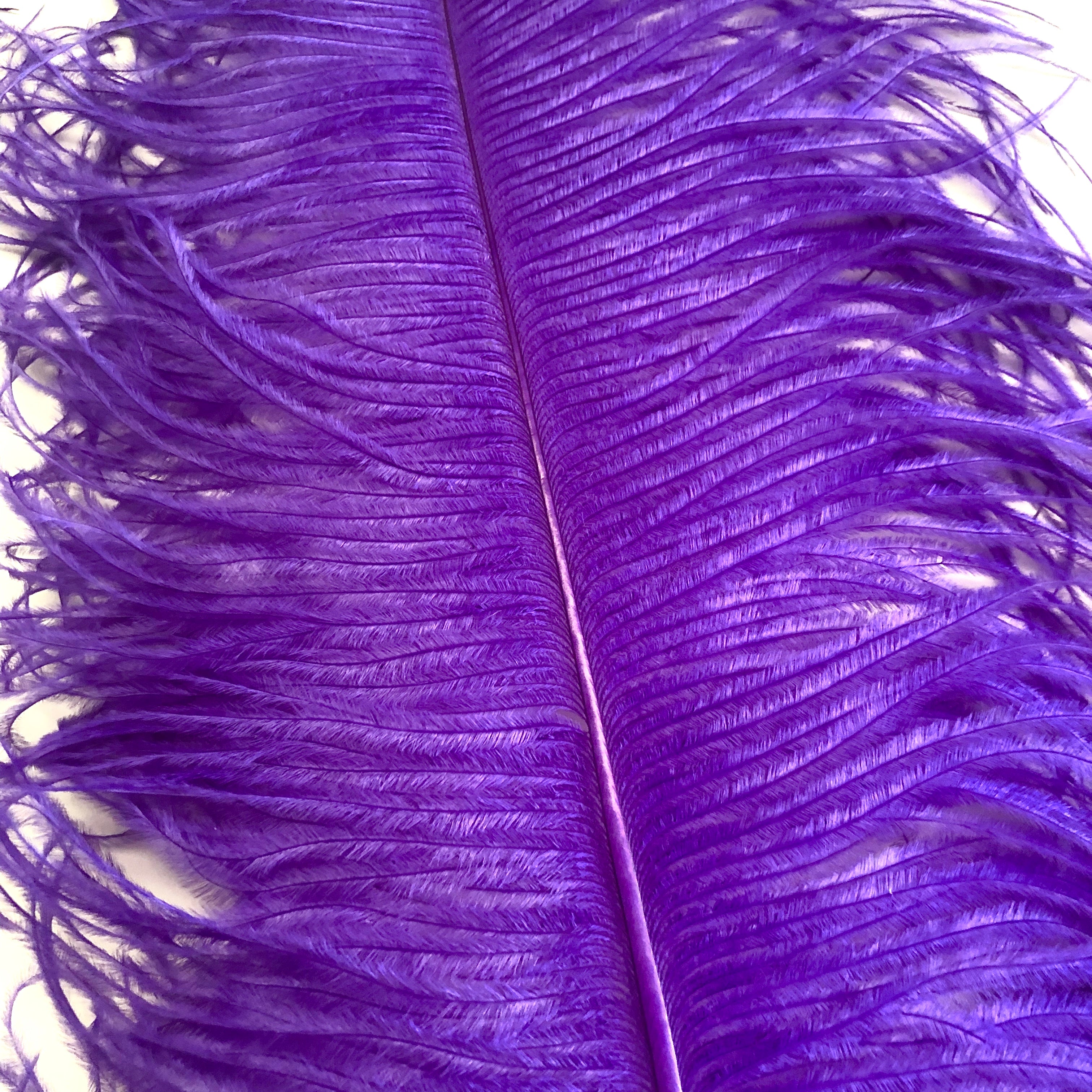 Ostrich Wing Feather Plumes 50-55cm (20-22") - Purple