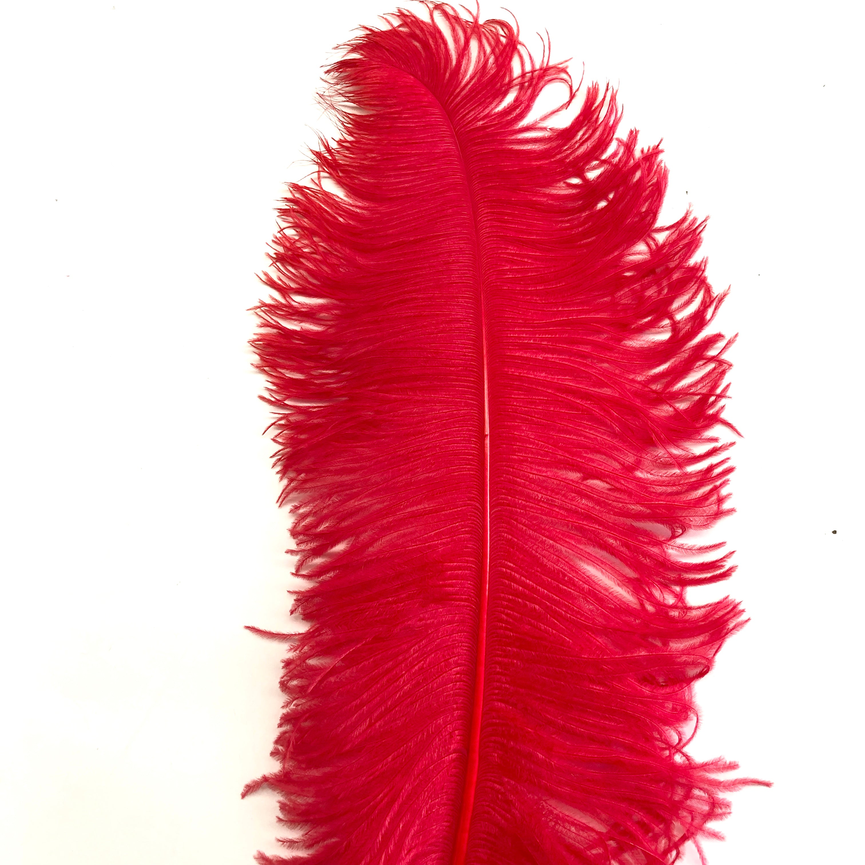 Ostrich Wing Feather Plumes 50-55cm (20-22") - Red ((SECONDS))