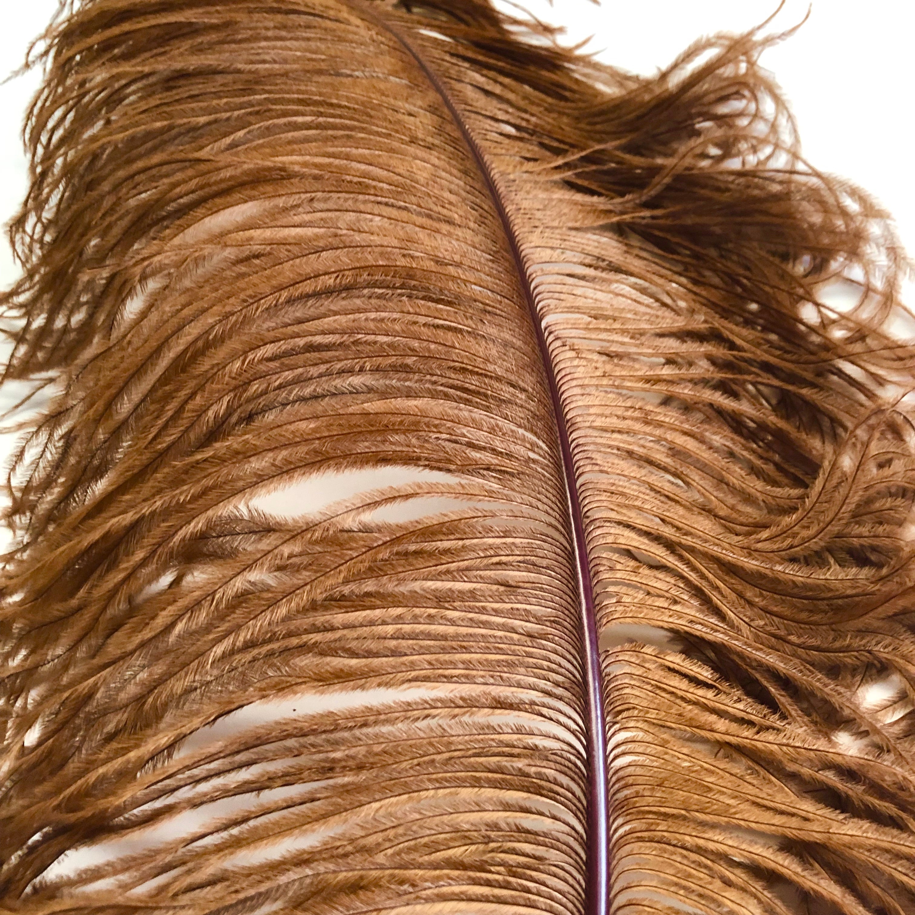 Ostrich Wing Feather Plumes 60-65cm (24-26") - Rust Brown