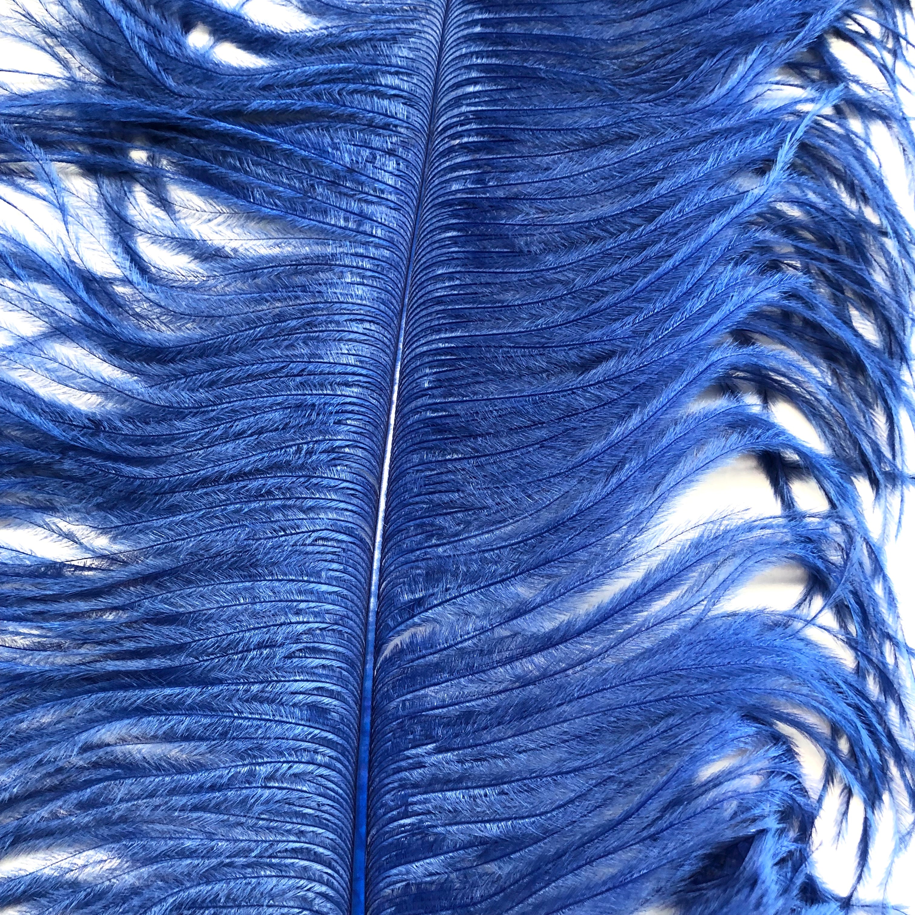Ostrich Wing Feather Plumes 50-55cm (20-22") - Royal Blue ((SECONDS))