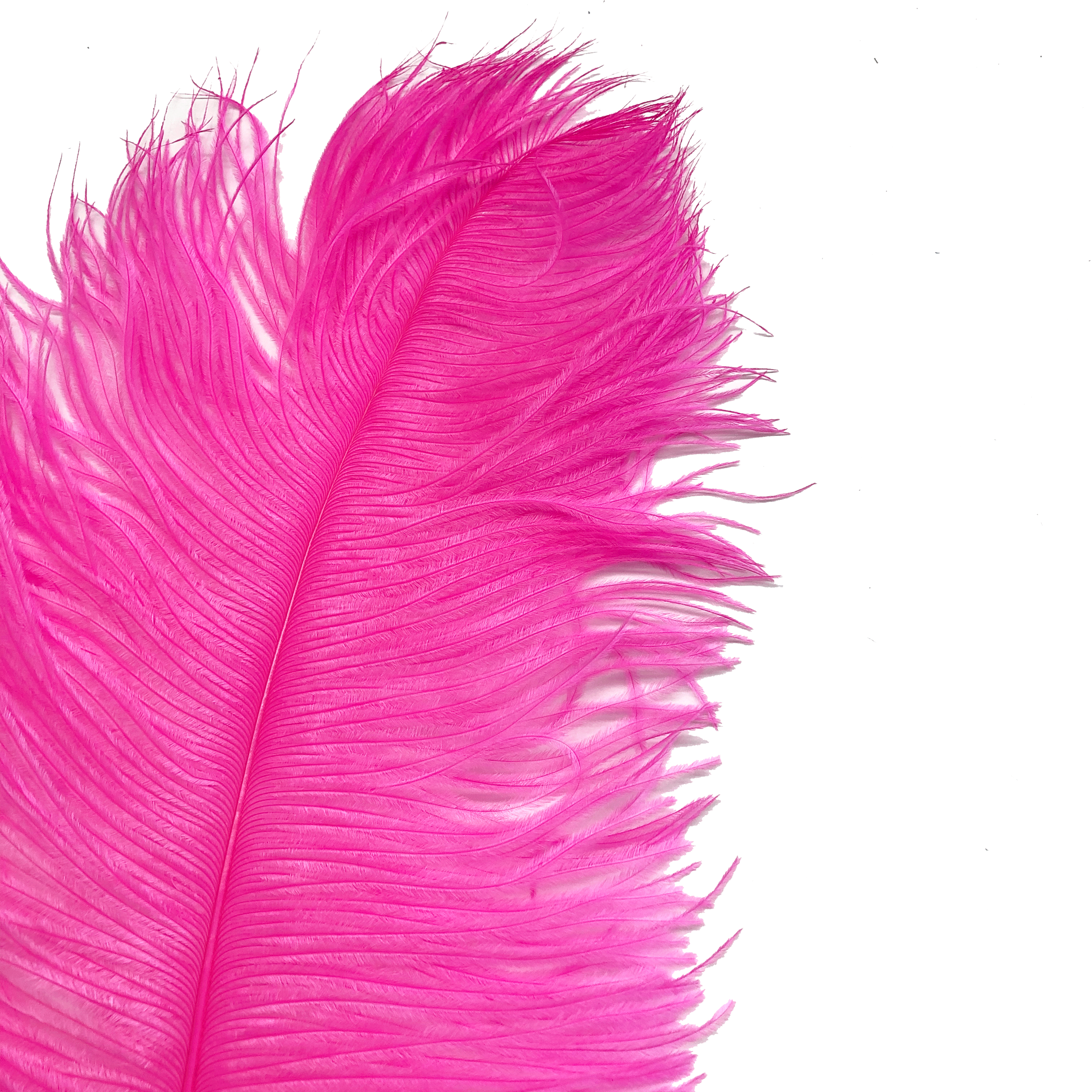 Ostrich Wing Feather Plumes 50-55cm (20-22") - Hot Pink