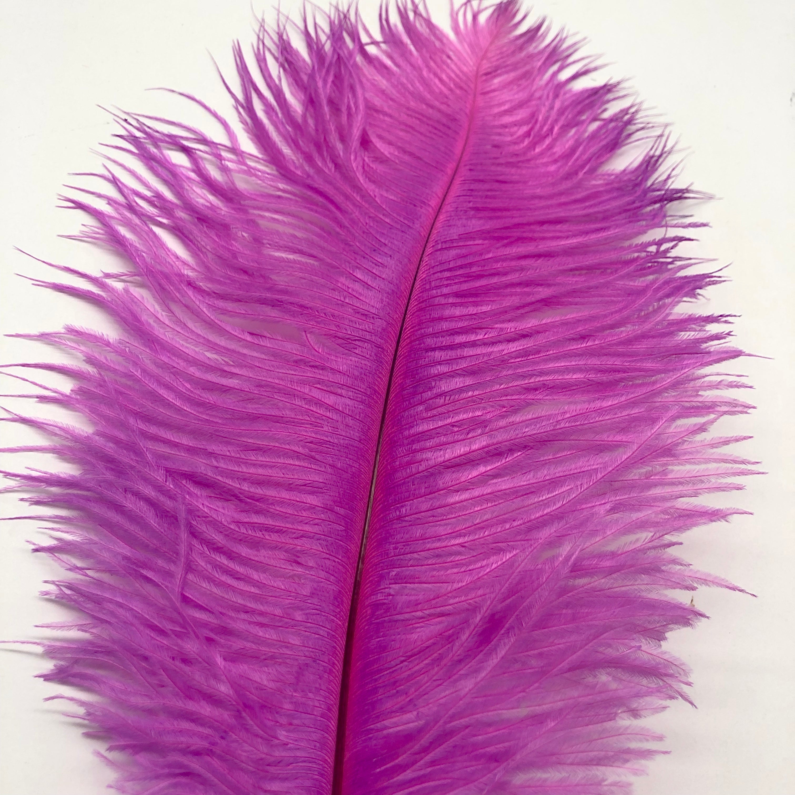 Ostrich Drab Feather 27-32cm - Fuchsia