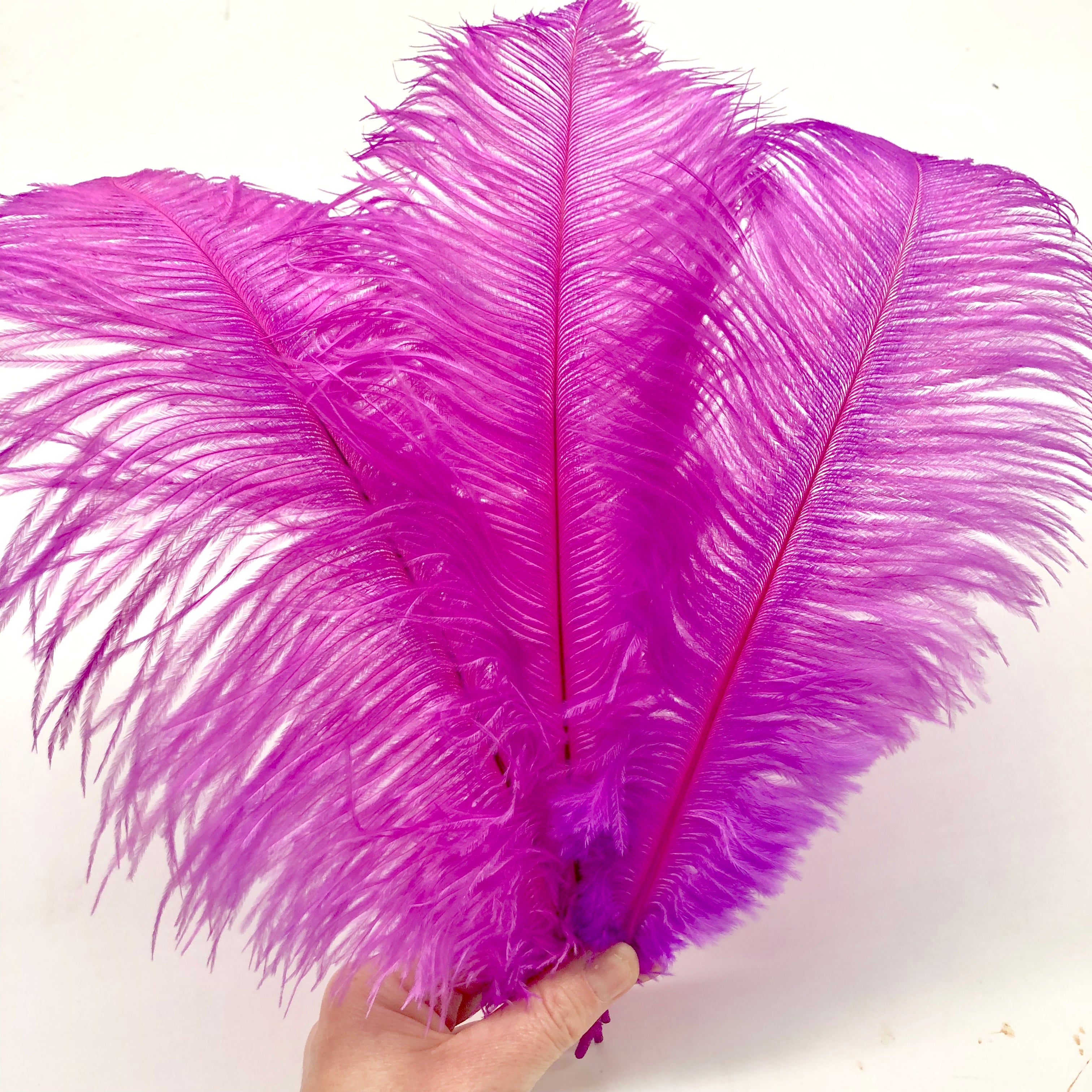 Ostrich Drab Feather 27-32cm - Fuchsia *Seconds* Pack of 5
