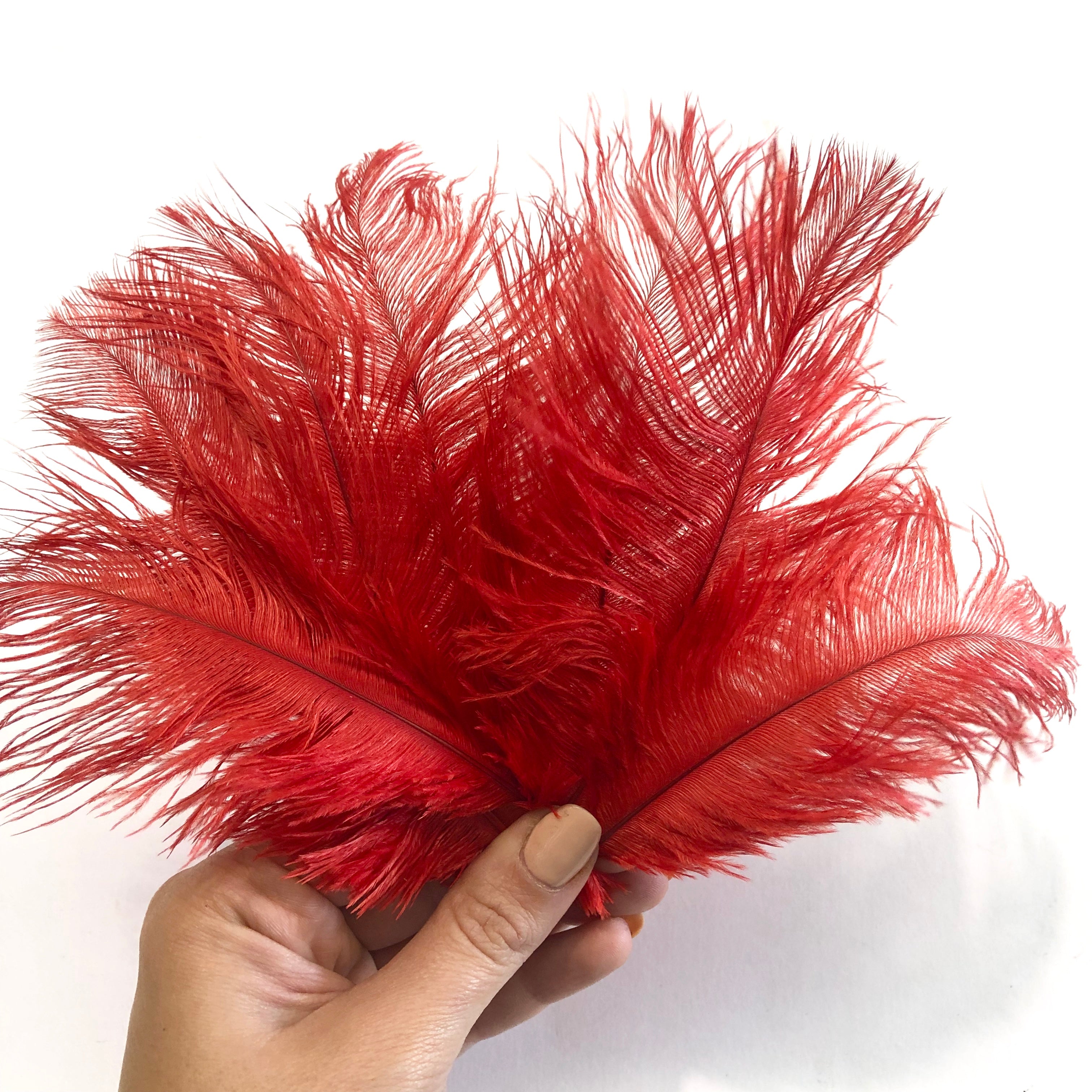 Ostrich Feather Drab 6-15cm x 20 - Red