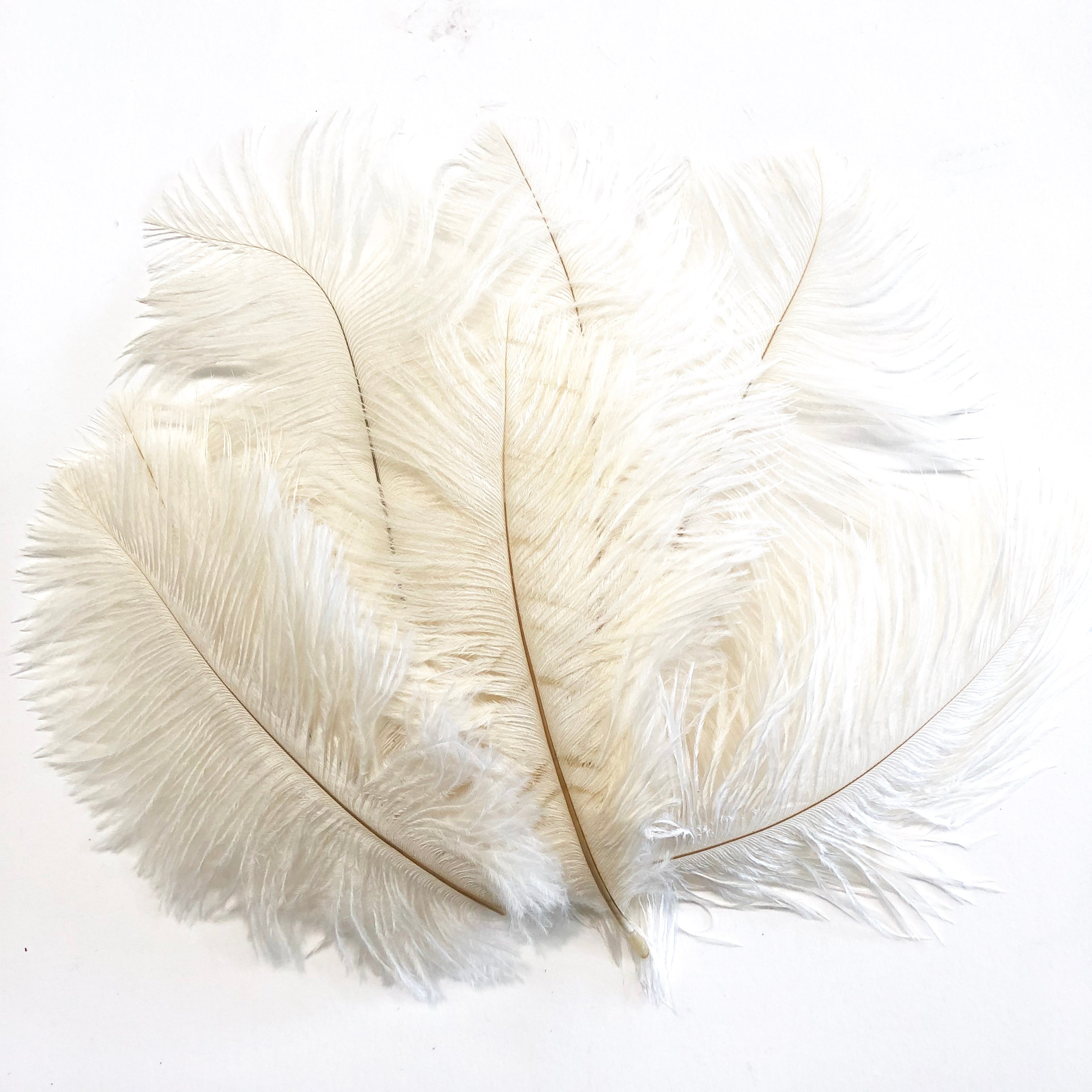 Off White Ostrich Feather Drab 6-15cm - 10 gram ((SECONDS))