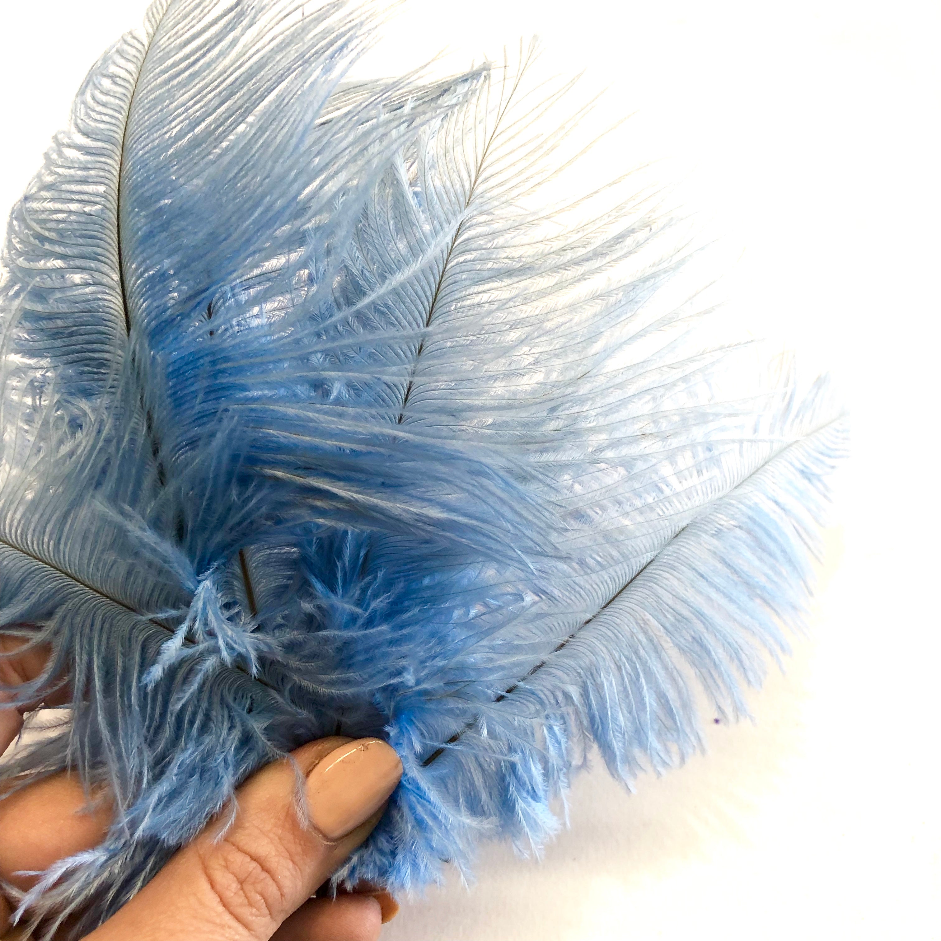 Ostrich Feather Drab 6-15cm x 20 - Light Blue