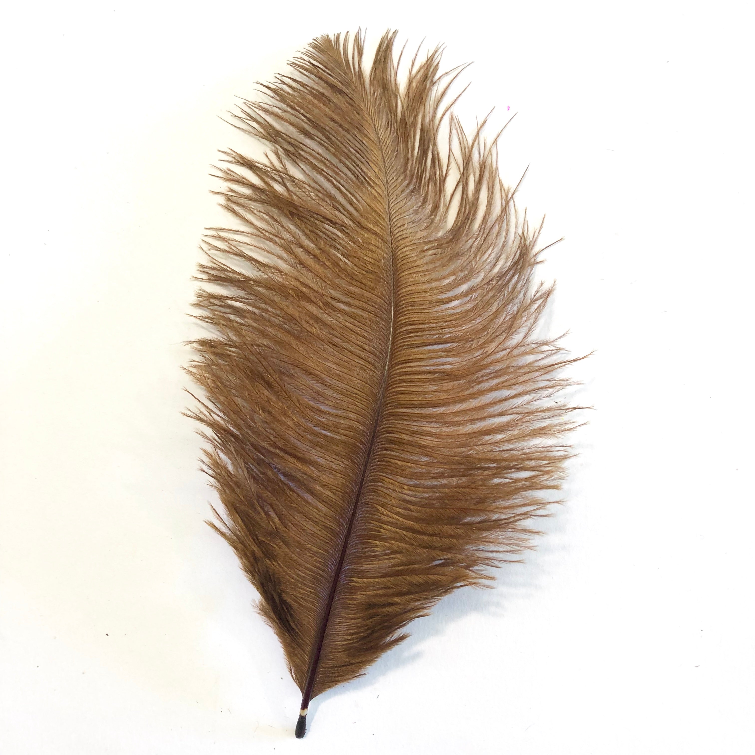 Ostrich Feather Drab 6-15cm x 20 - Rust Brown