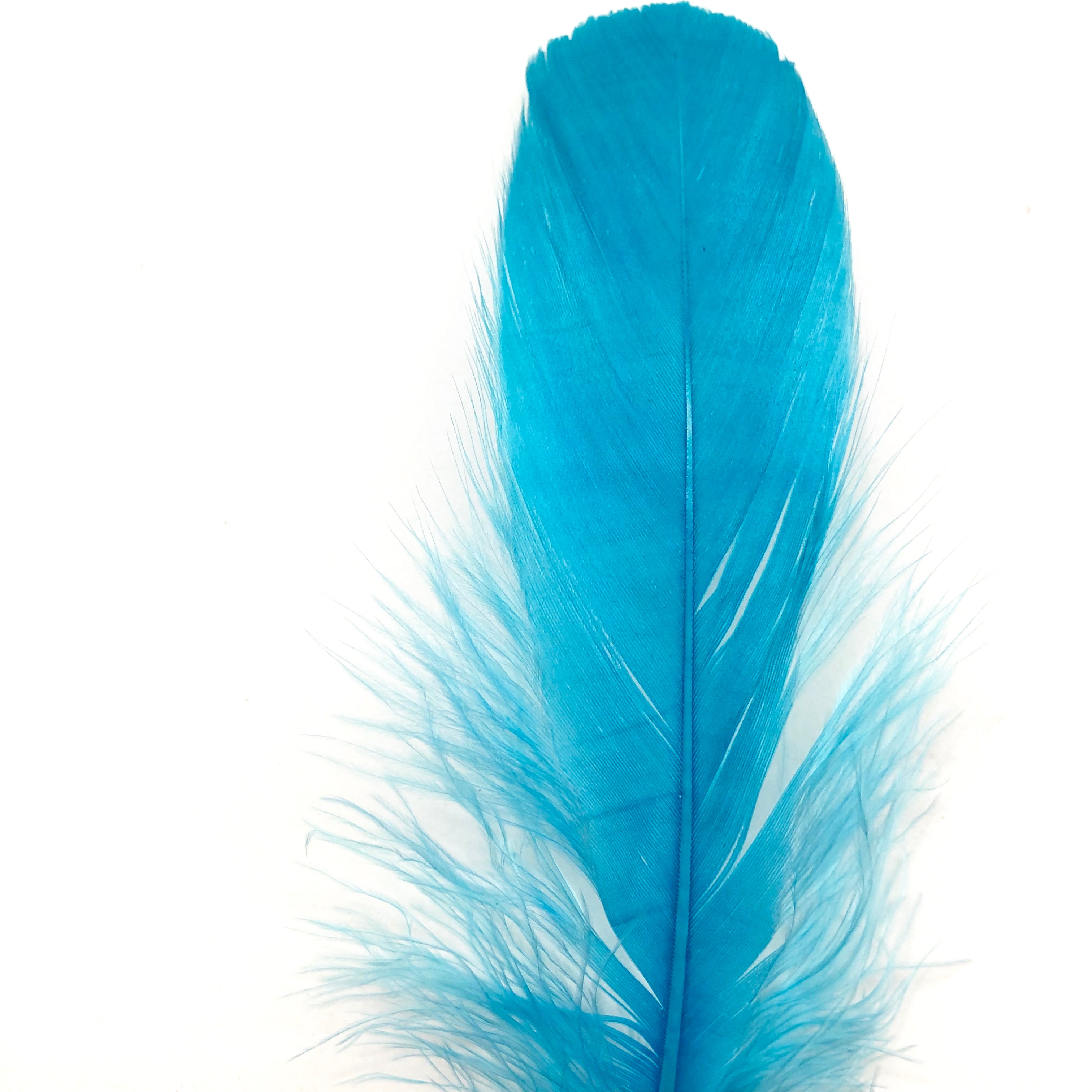 Goose Nagoire Feathers 10 grams - Aqua
