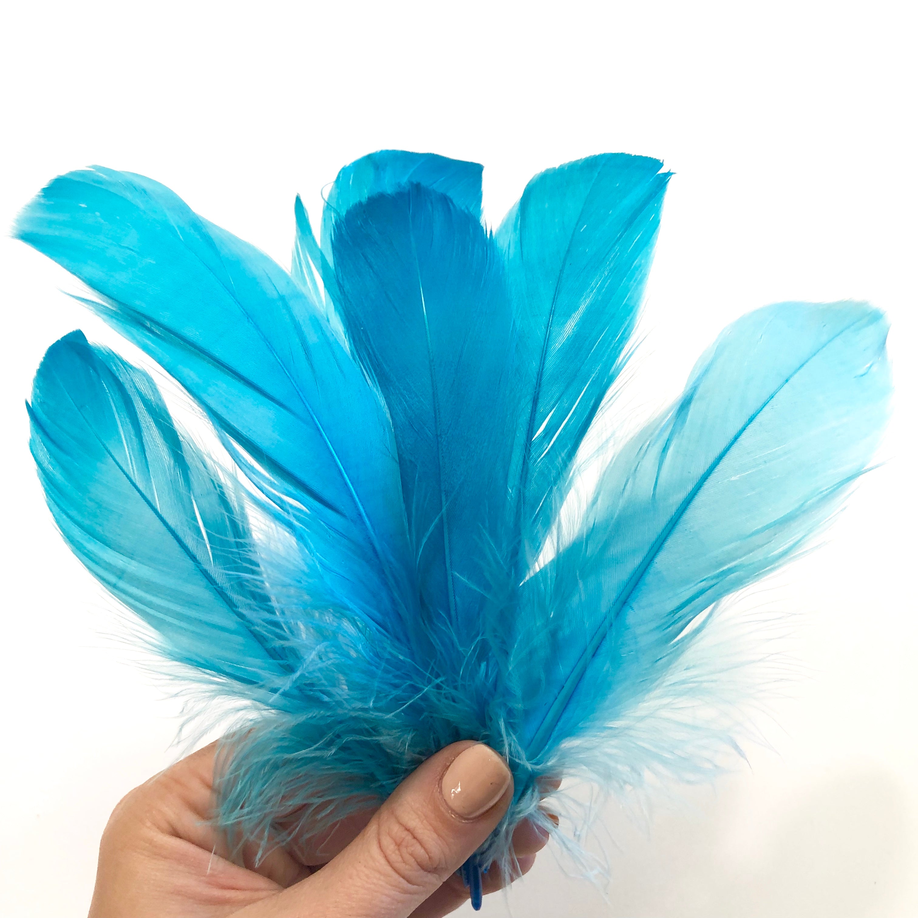 Goose Nagoire Feathers 10 grams - Aqua