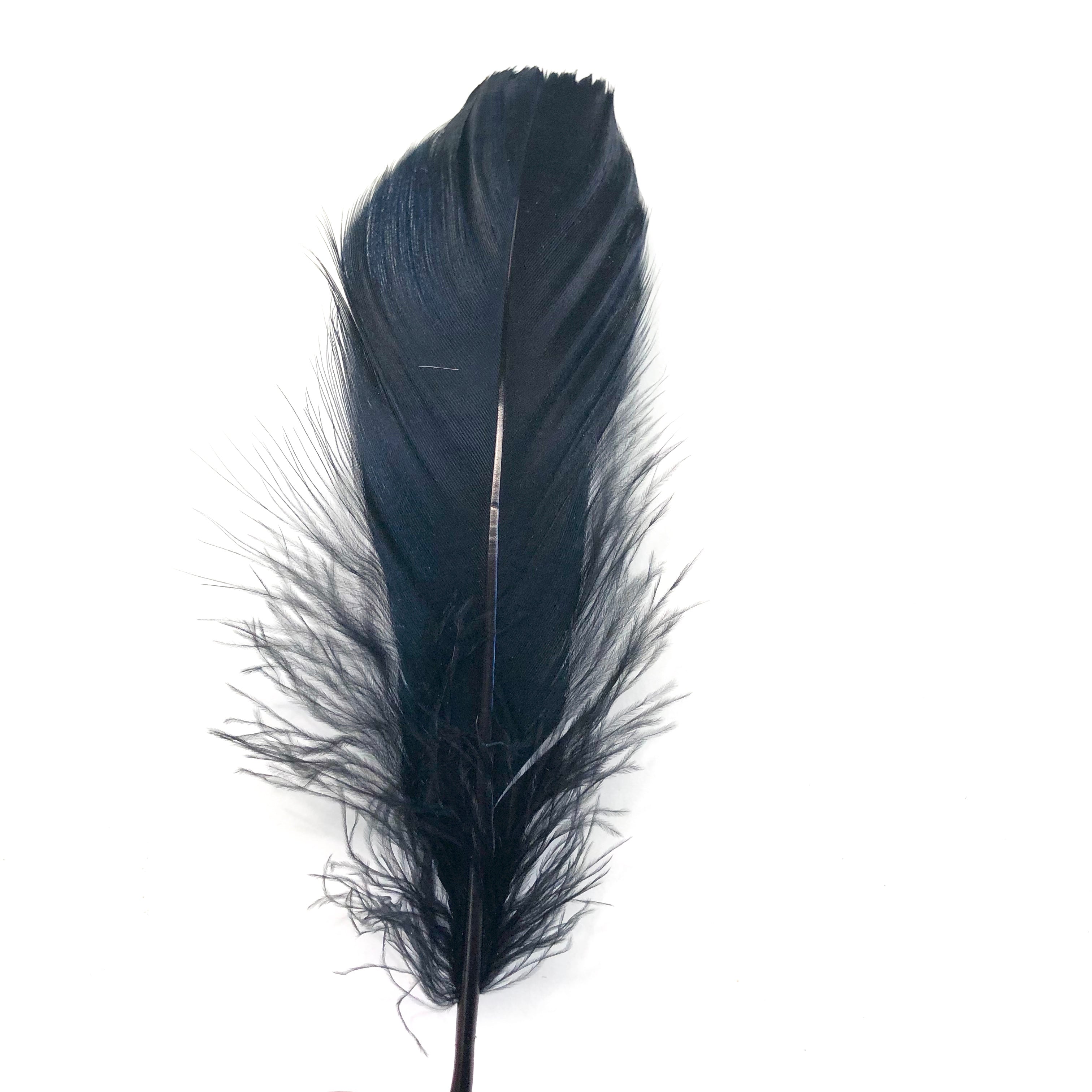 Goose Nagoire Feathers 10 grams - Black