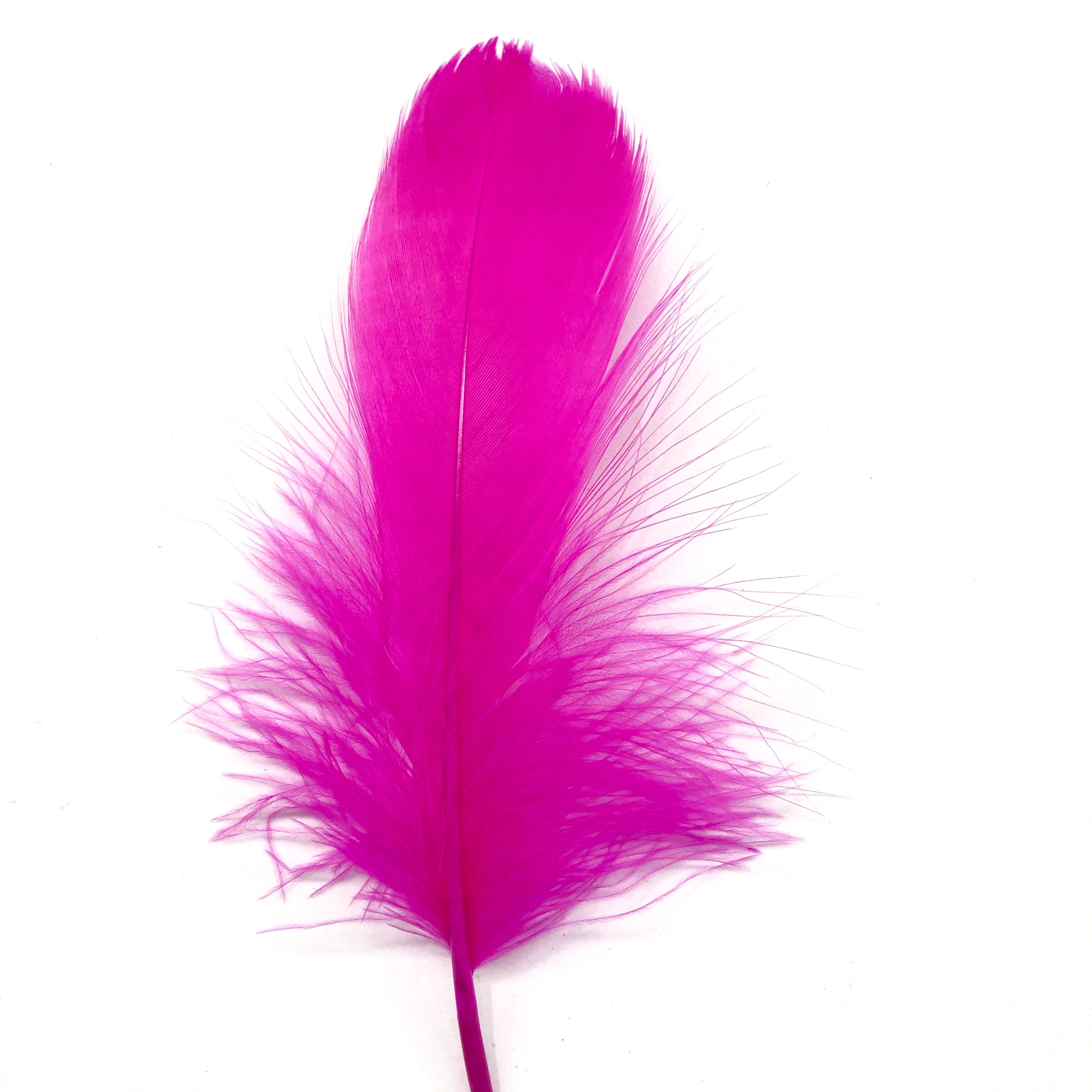 Goose Nagoire Feathers 10 grams - Cerise