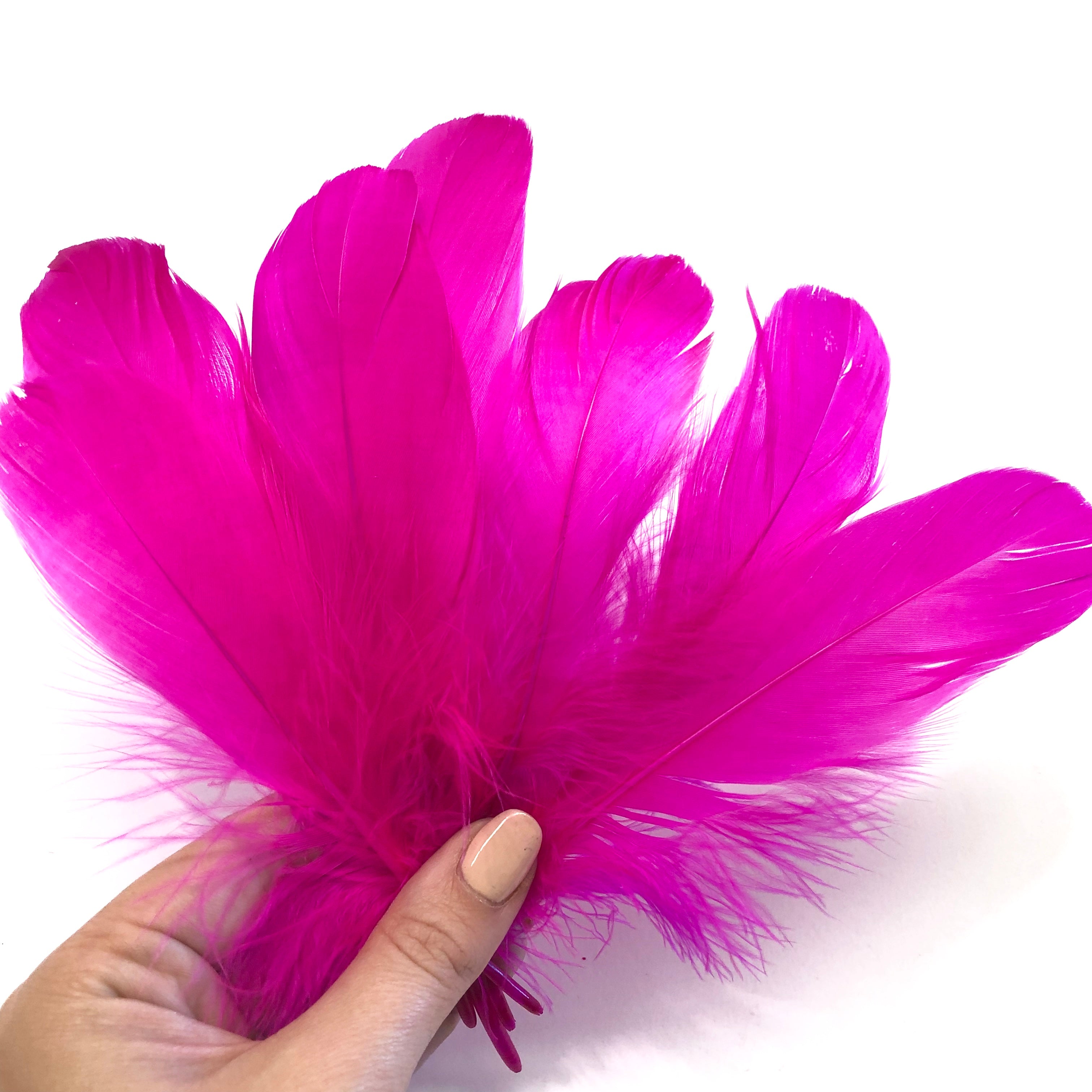 Goose Nagoire Feathers 10 grams - Cerise