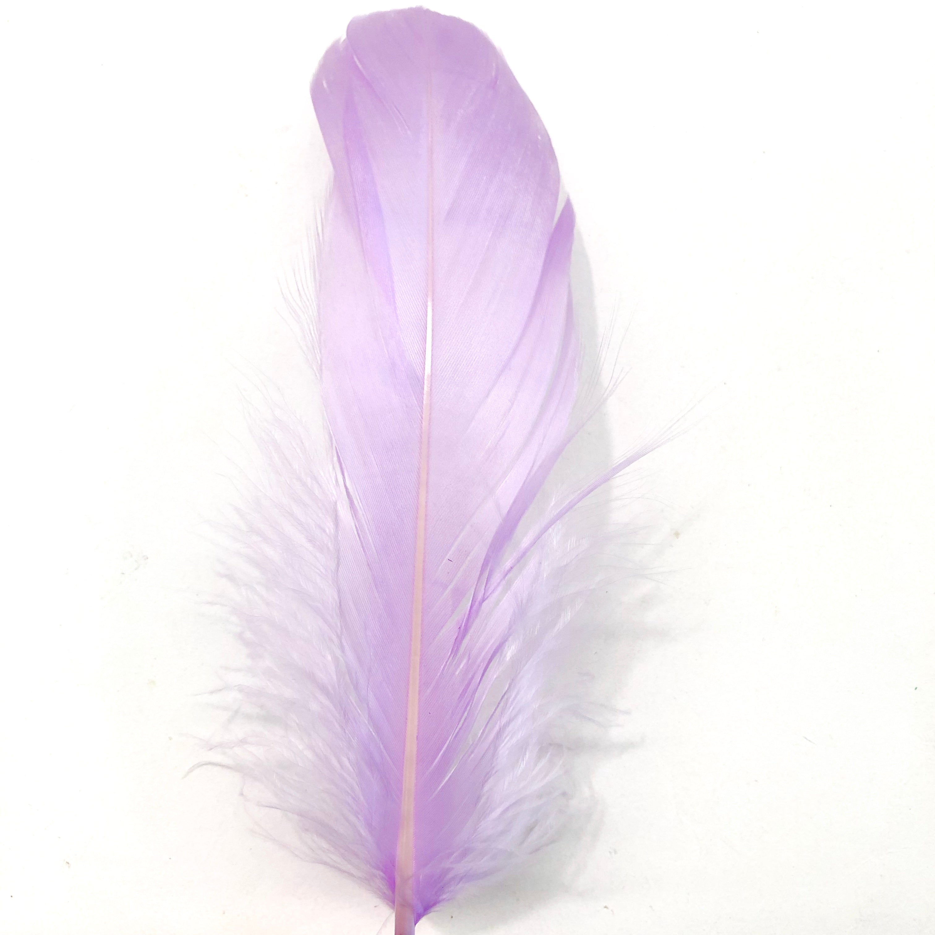 Goose Nagoire Feathers 10 grams - Lilac