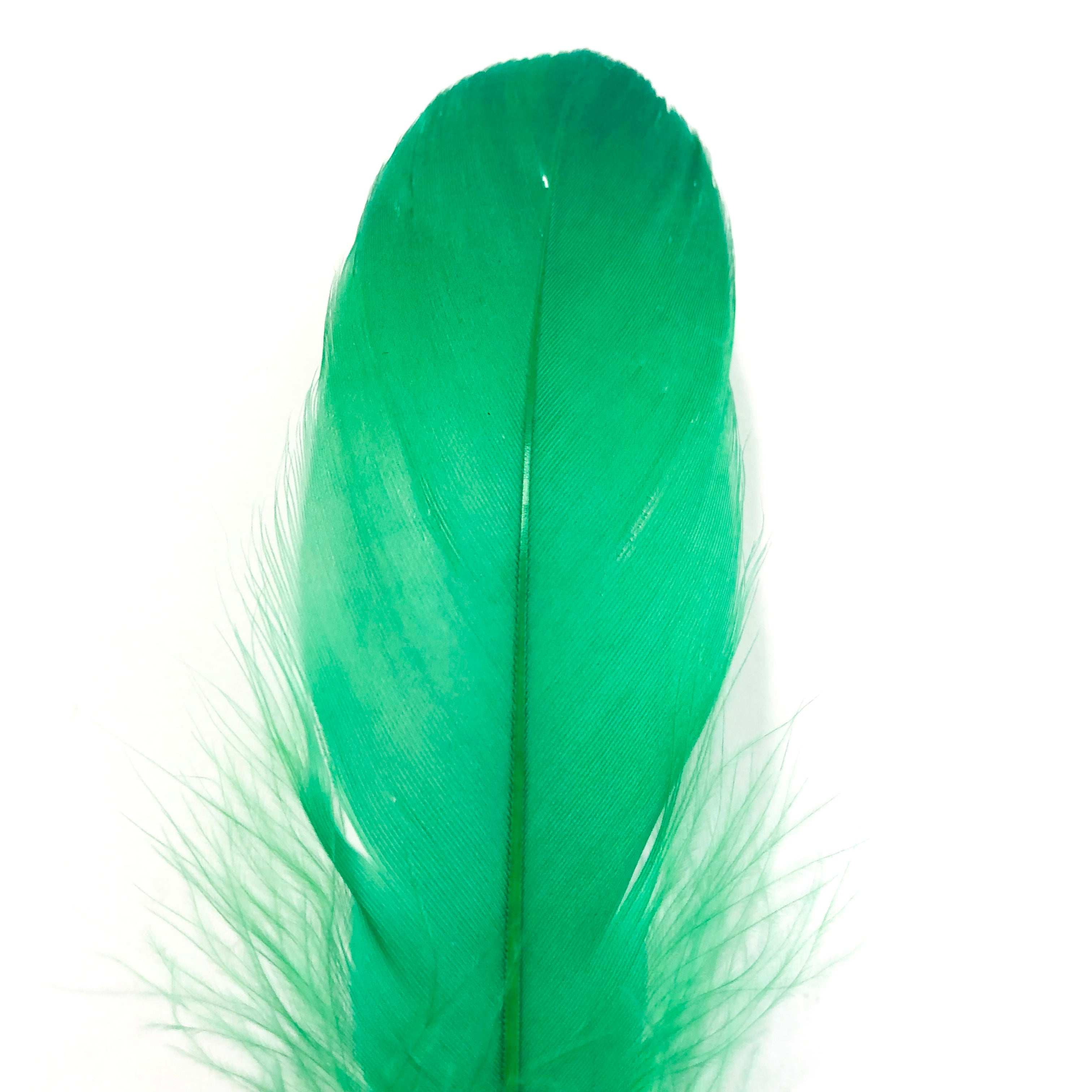 Goose Nagoire Feathers 10 grams - Green