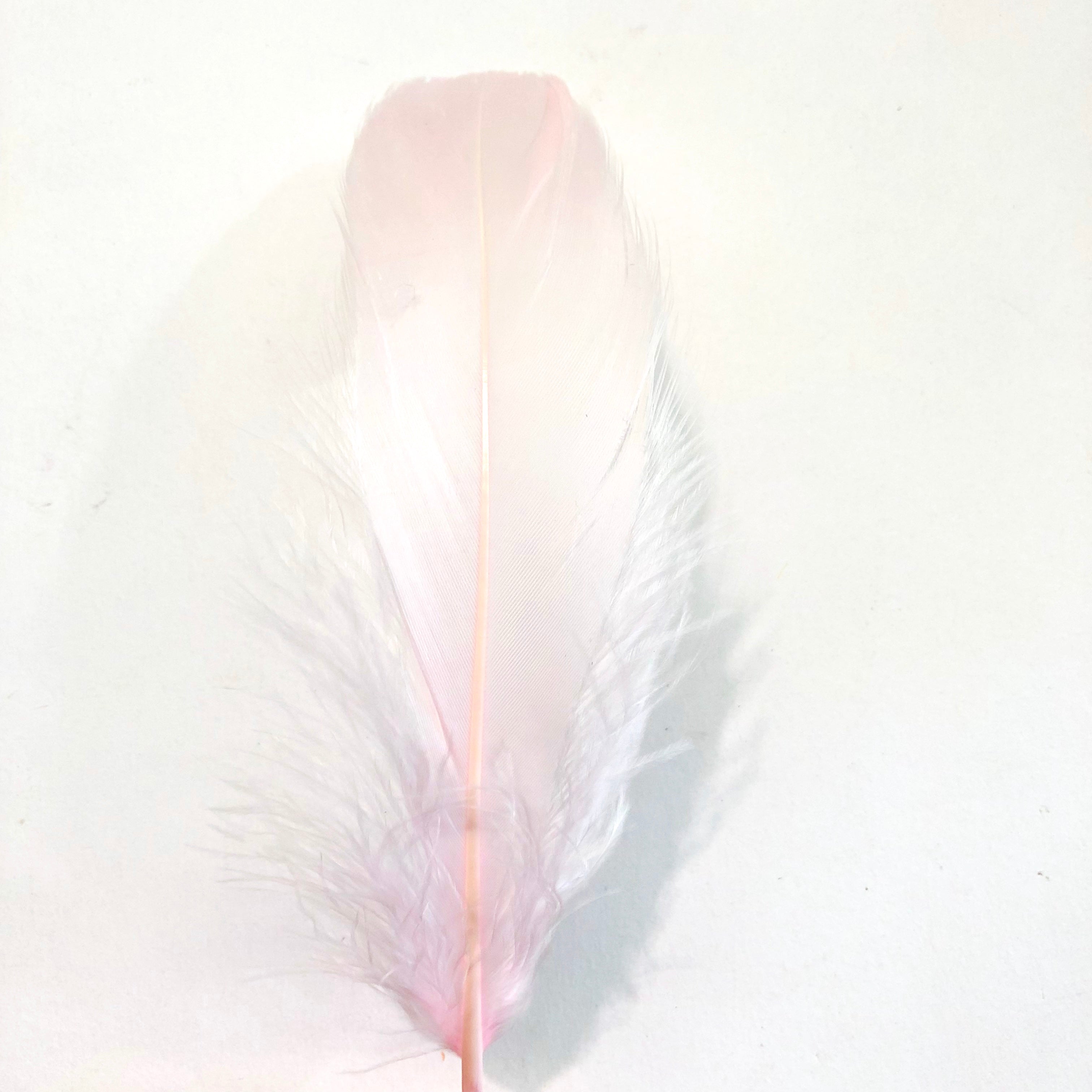 Goose Nagoire Feathers 10 grams - Pink