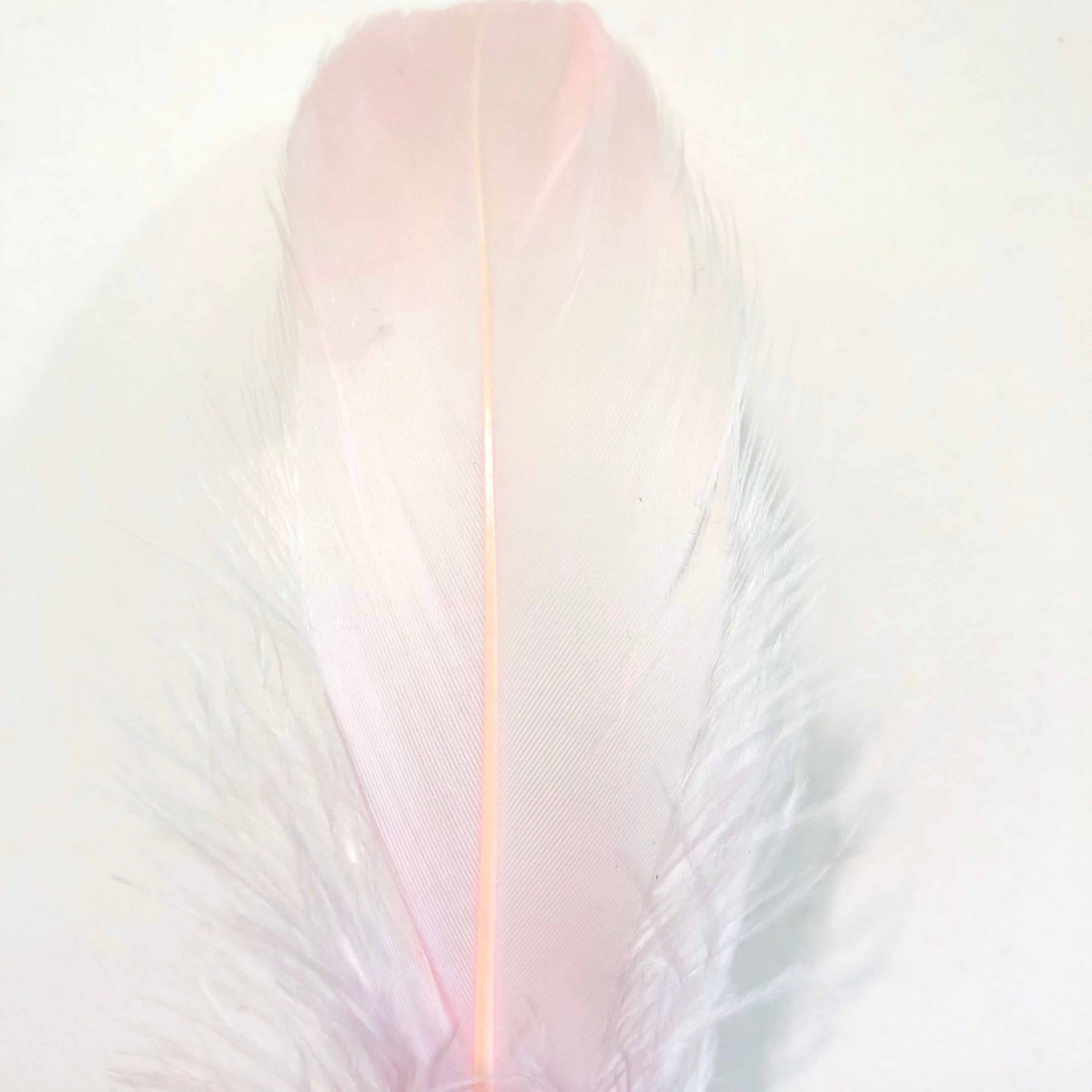 Goose Nagoire Feathers 10 grams - Pink