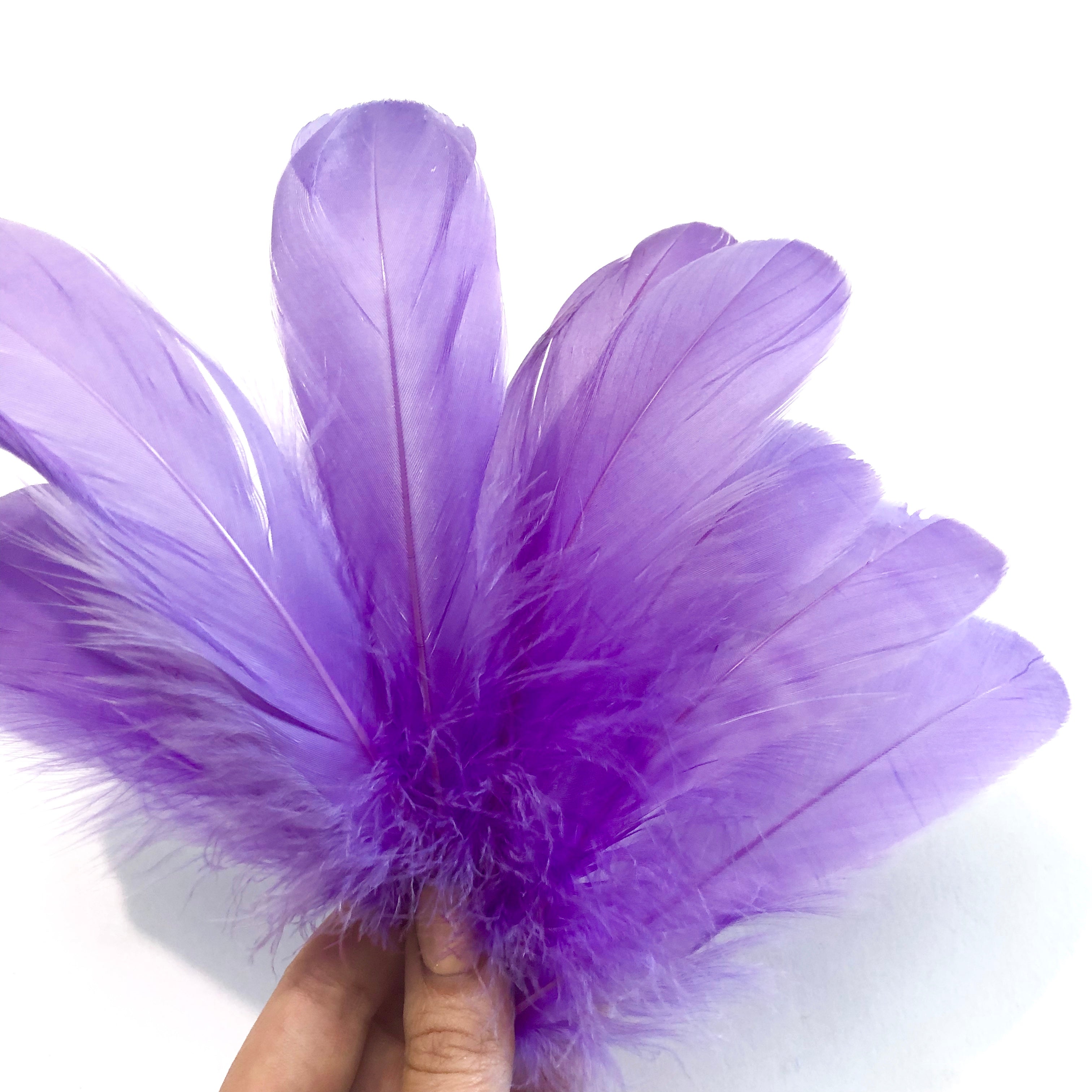 Goose Nagoire Feathers 10 grams - Purple