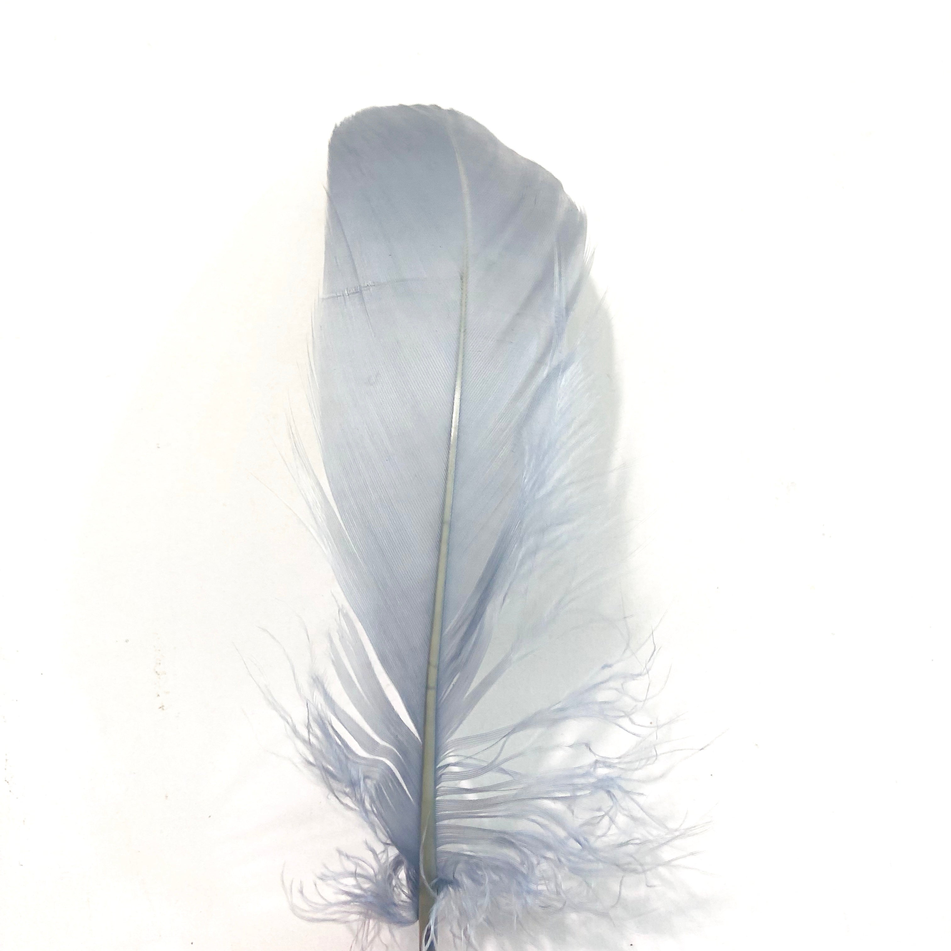 Goose Nagoire Feathers 10 grams - Grey