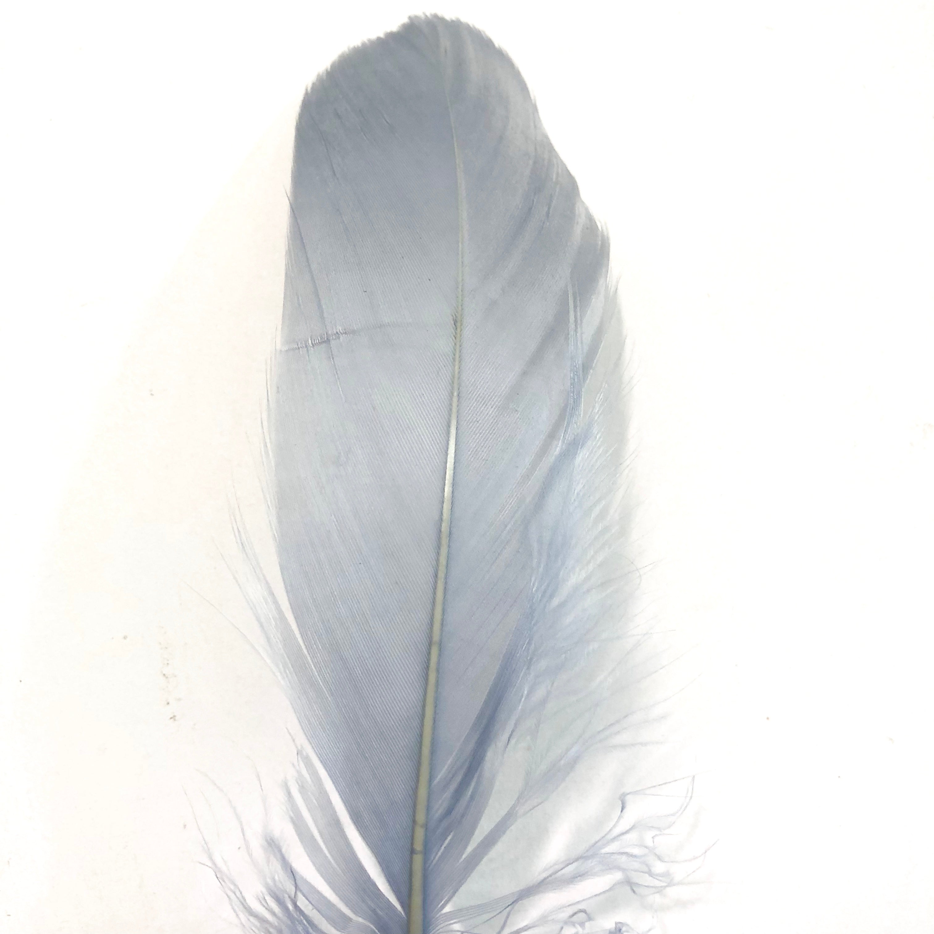 Goose Nagoire Feathers 10 grams - Grey