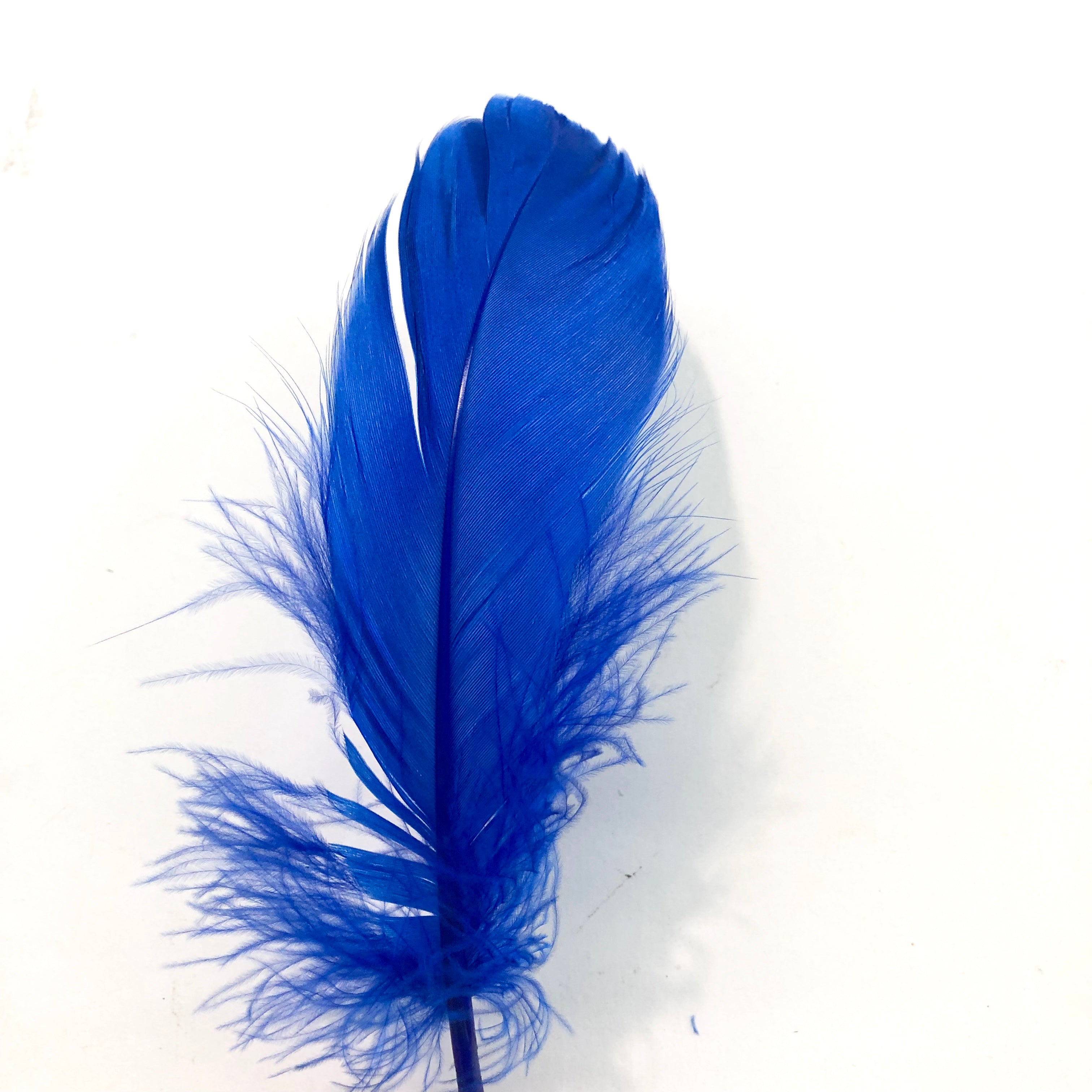 Goose Nagoire Feathers 10 grams - Royal Blue