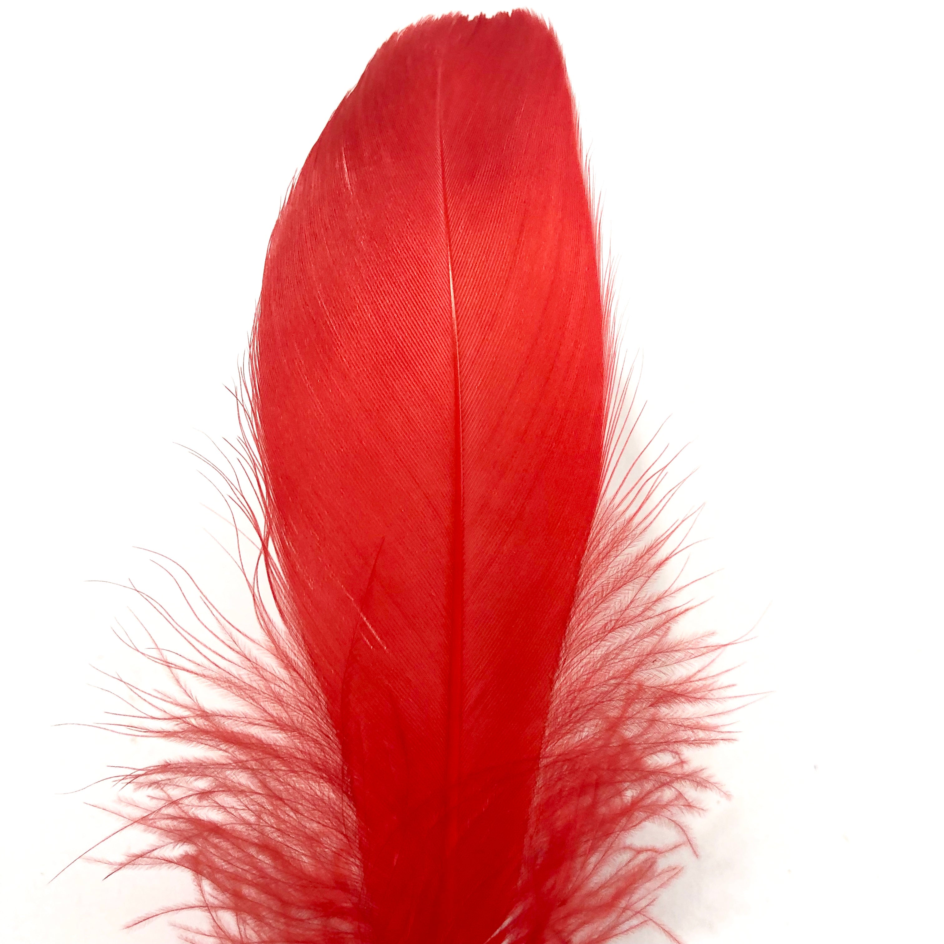 Goose Nagoire Feathers 10 grams - Red