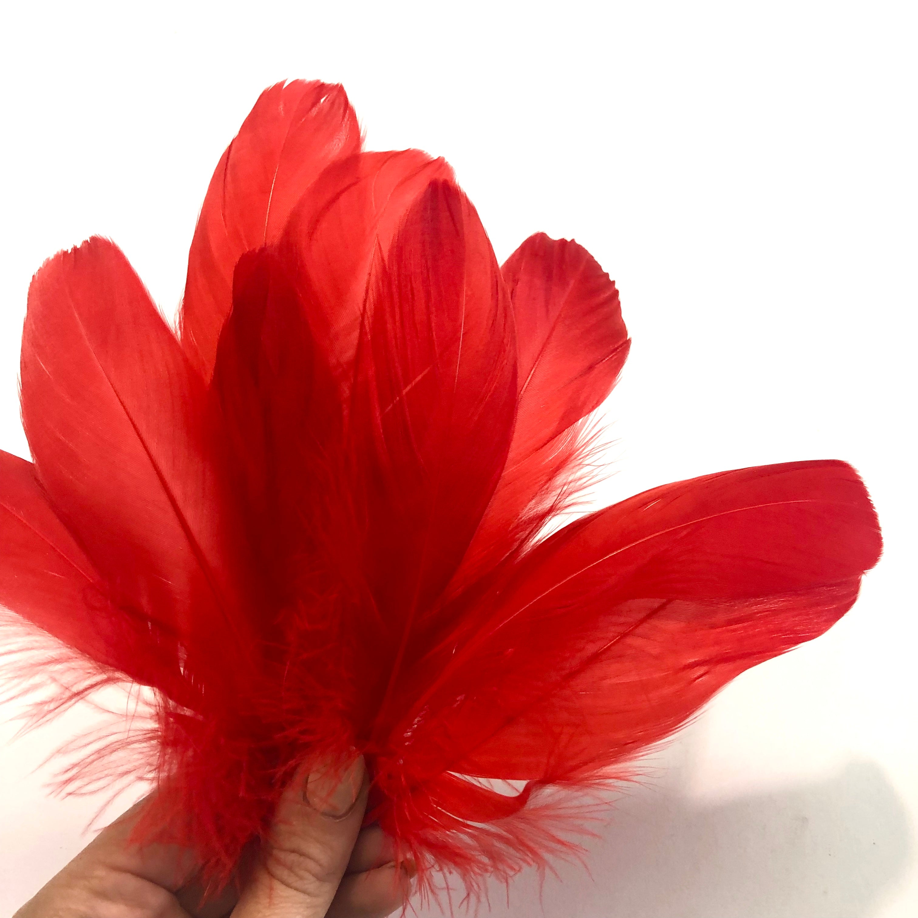 Goose Nagoire Feathers 10 grams - Red