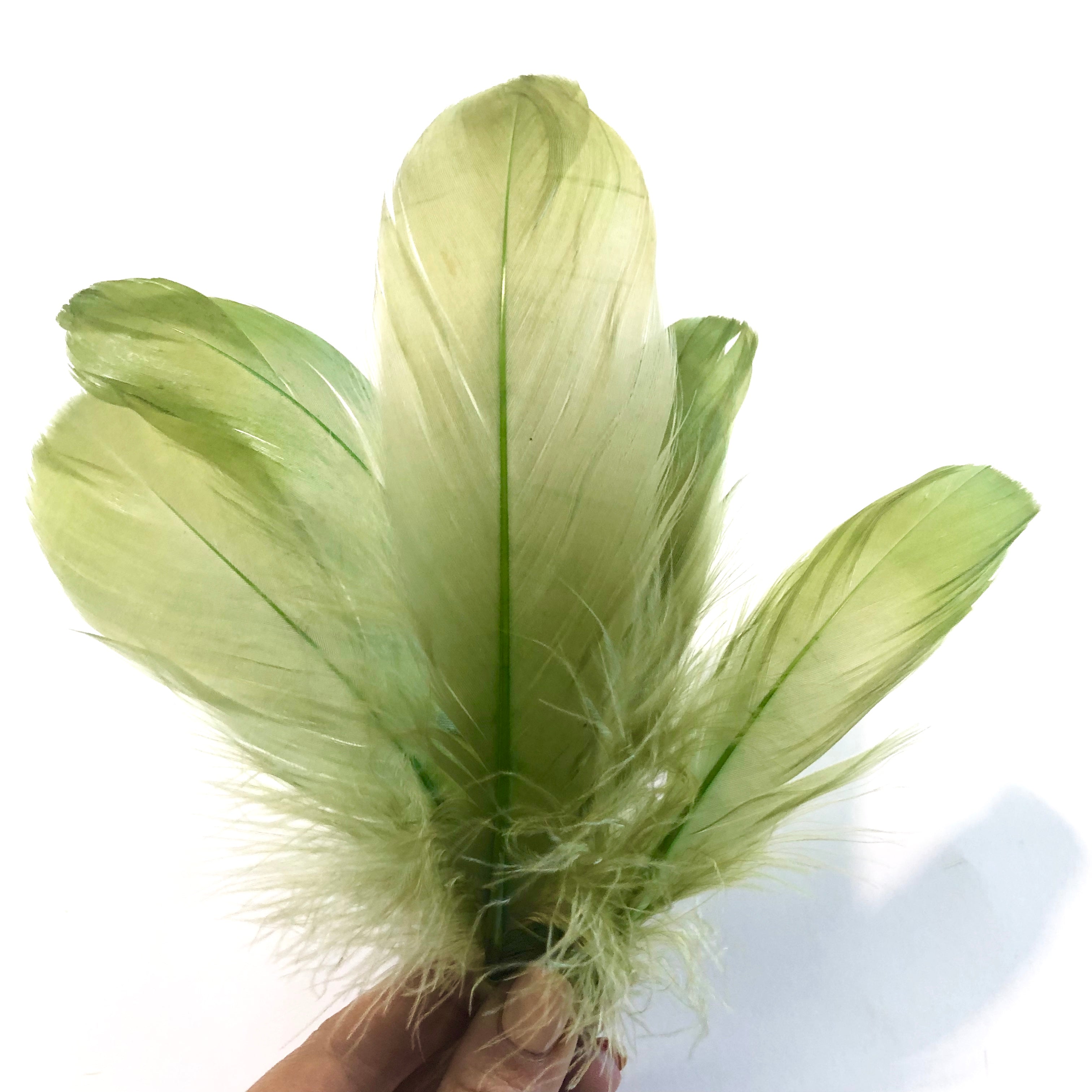 Goose Nagoire Feathers 10 grams - Olive