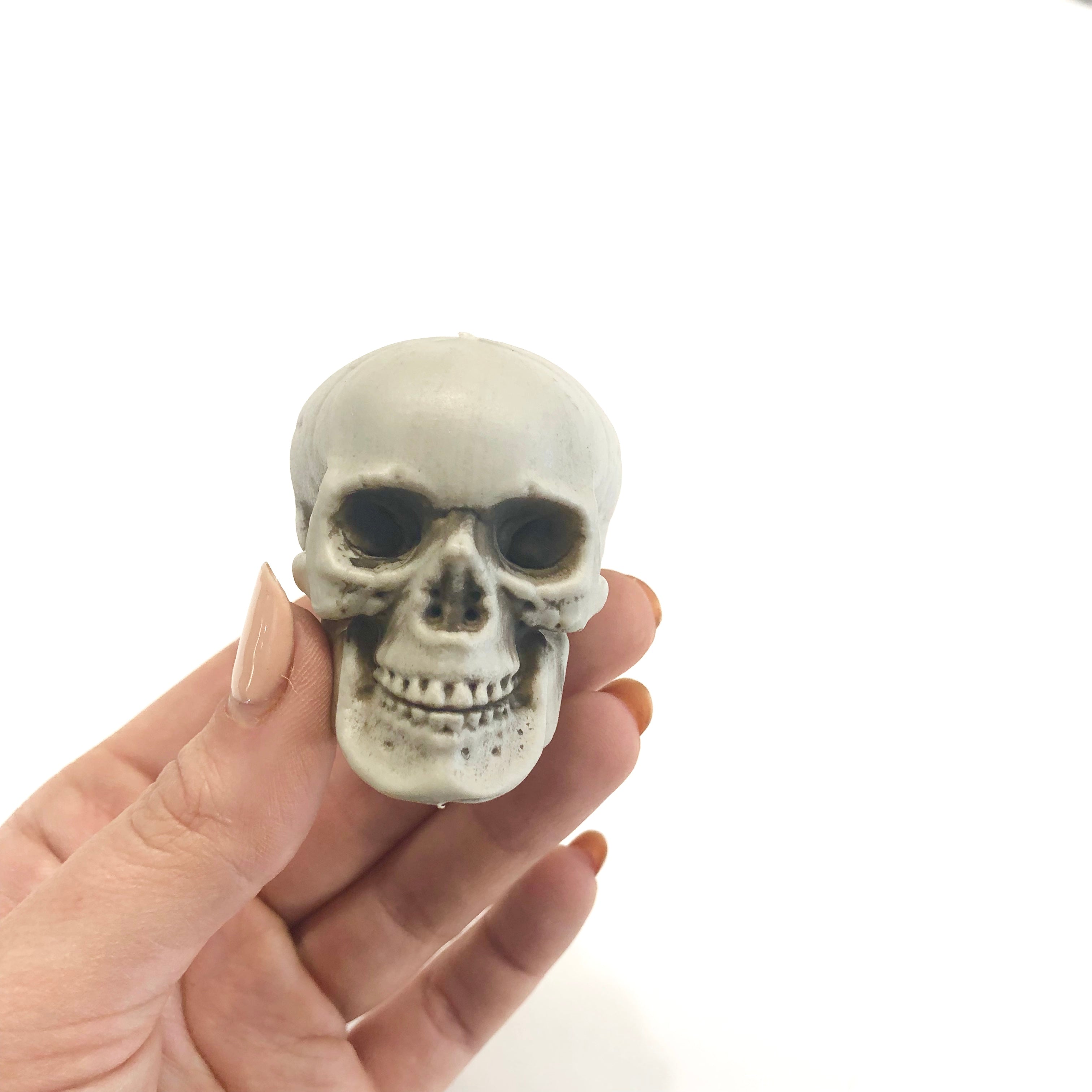Day of the Dead Halloween Prop Scary Mini Simulation Plastic Skull
