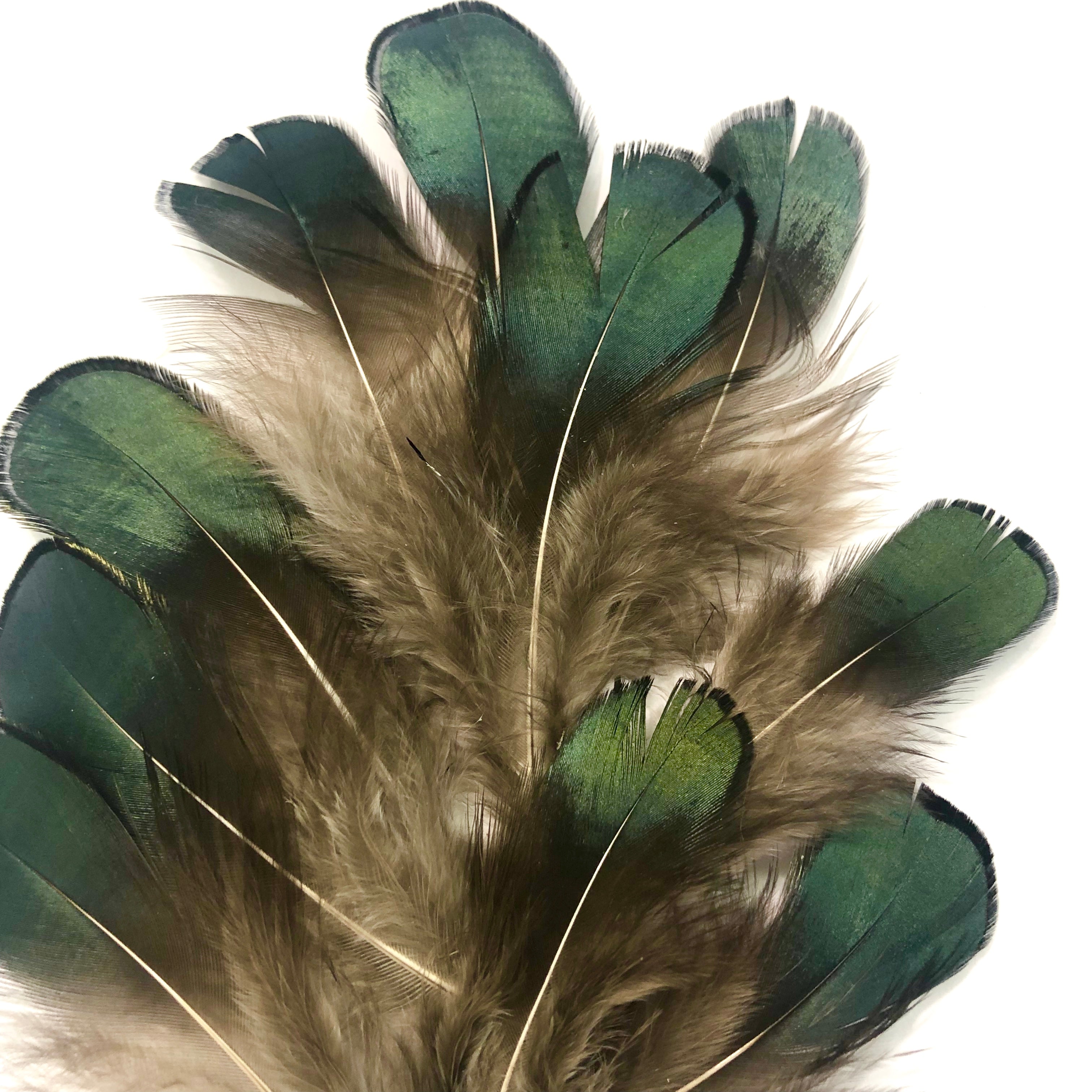 Natural Lady Amherst Jewel Pheasant Feather Plumage x 10pcs