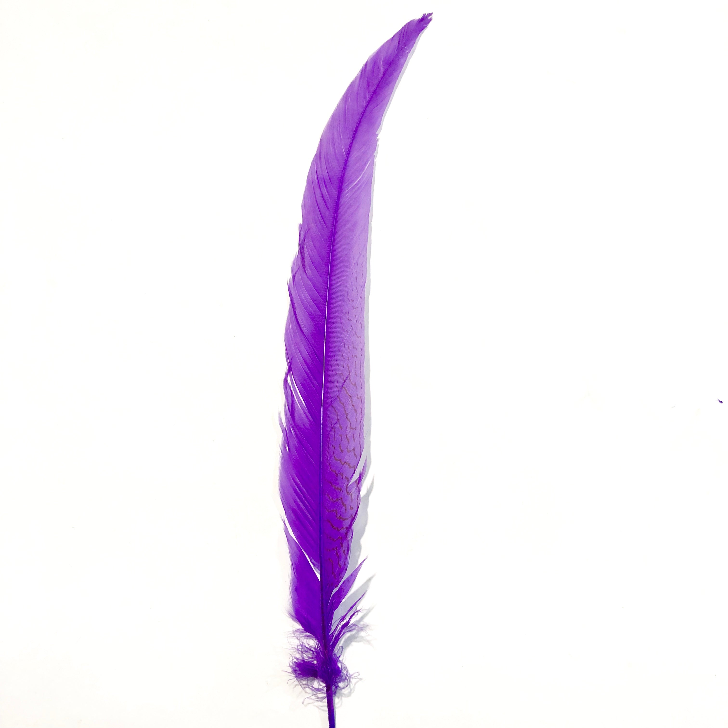 20" To 30" Silver Pheasant Tail Feather - Purple ((SECONDS))