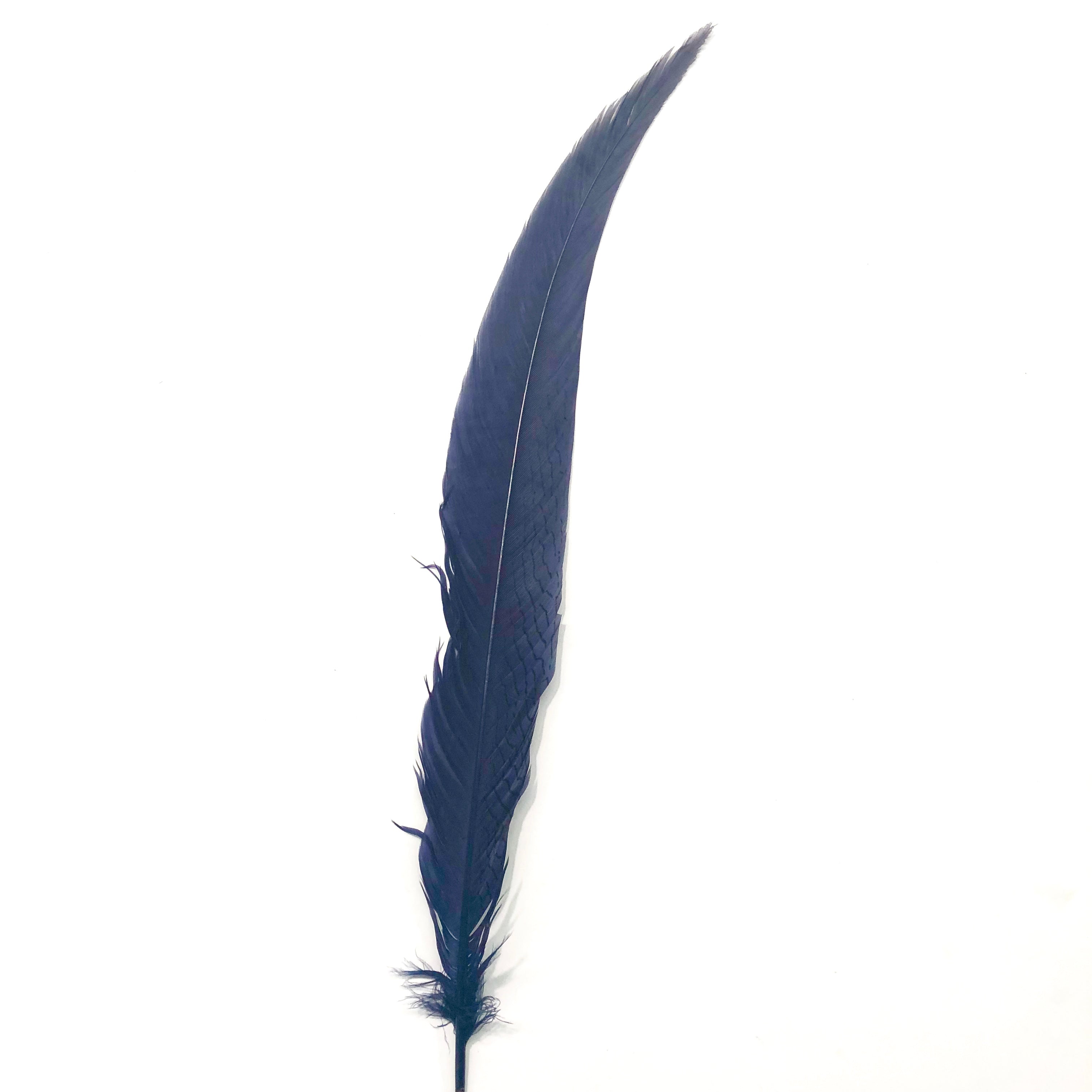 20" to 30" Silver Pheasant Tail Feather - Dusty Navy Blue