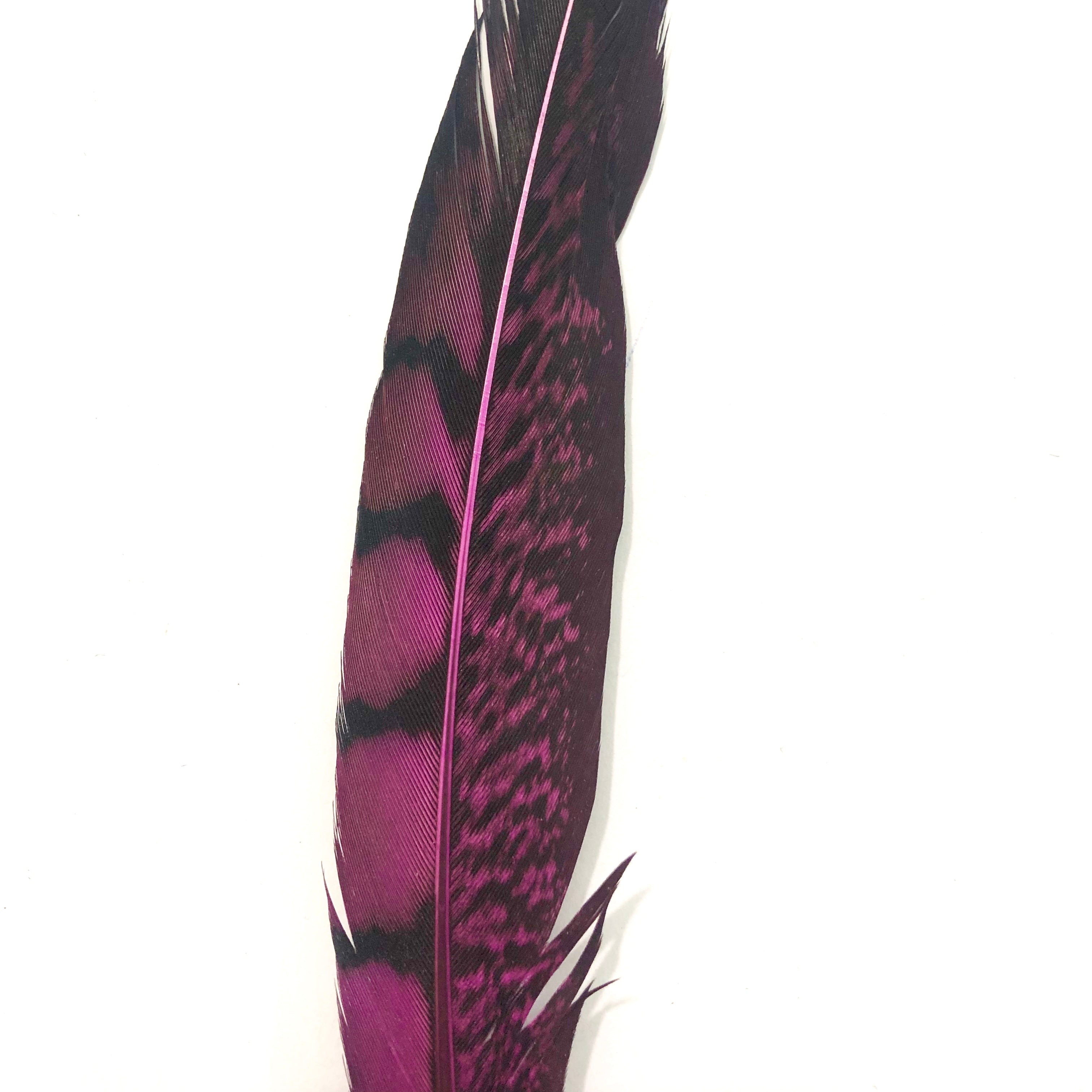 5" to 10" Lady Amherst Pheasant Side Tail Feather x 10 pcs - Hot Pink