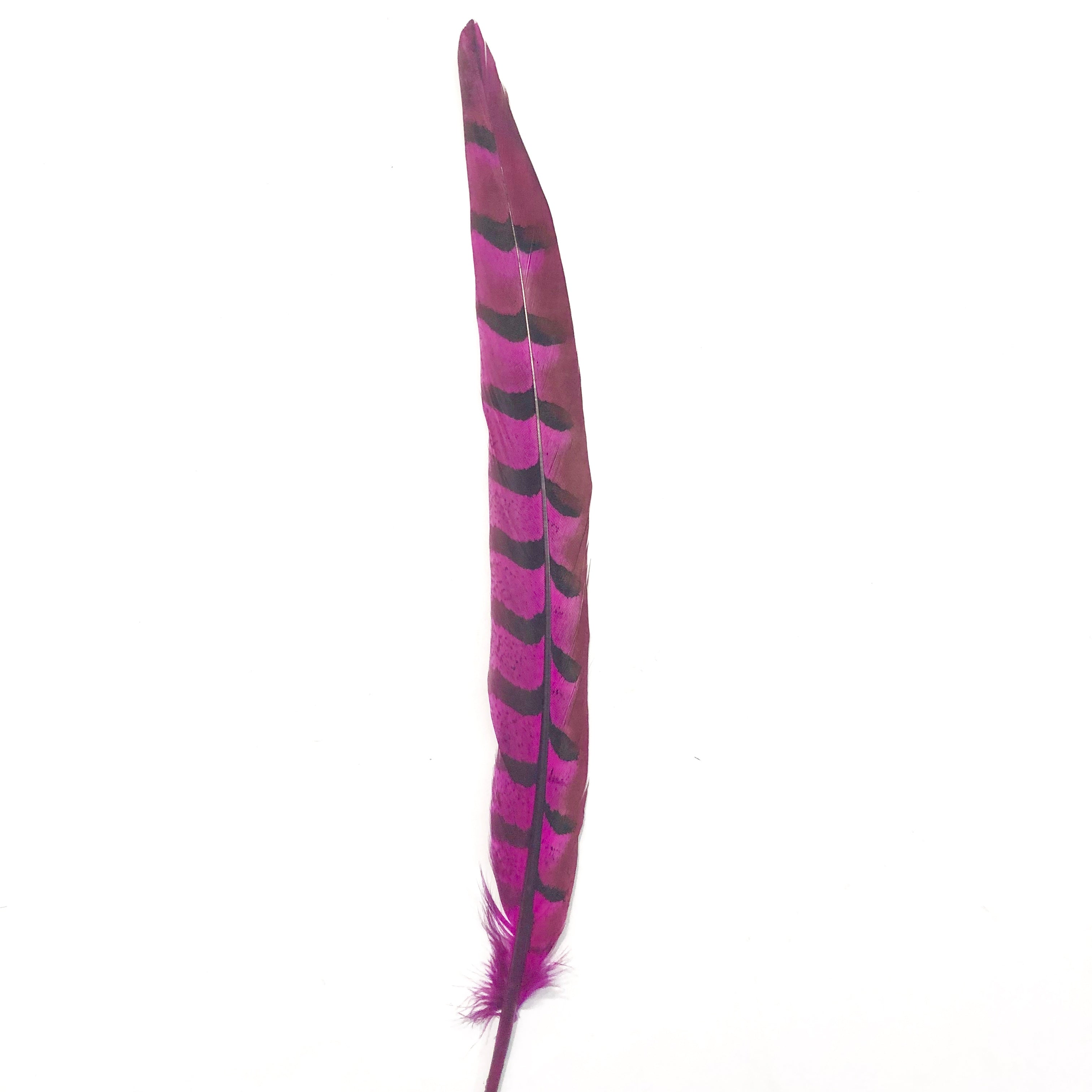 12" to 14" Reeves Pheasant Tail Feather - Cerise ((SECONDS))