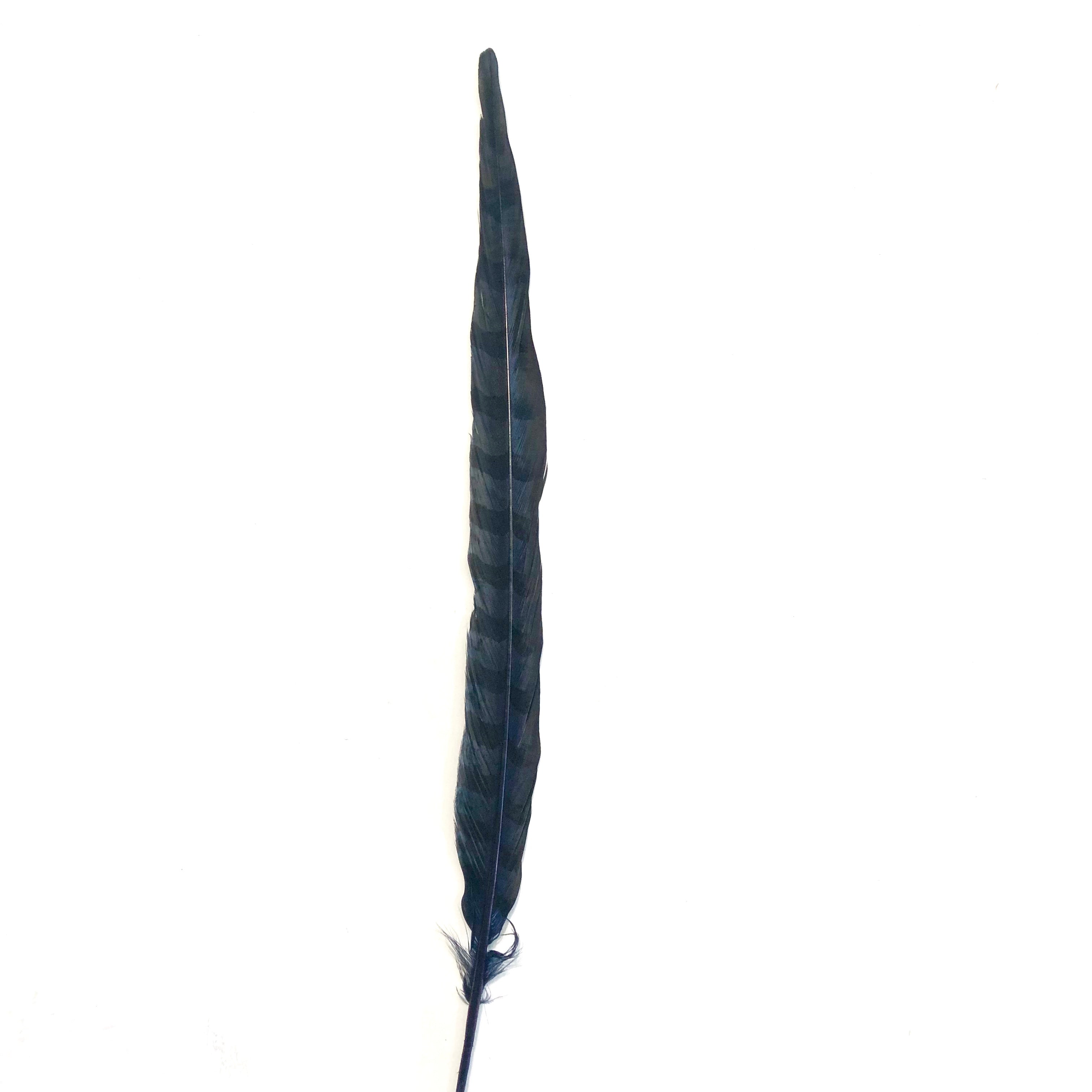 18" to 20" Reeves Pheasant Tail Feather - Navy