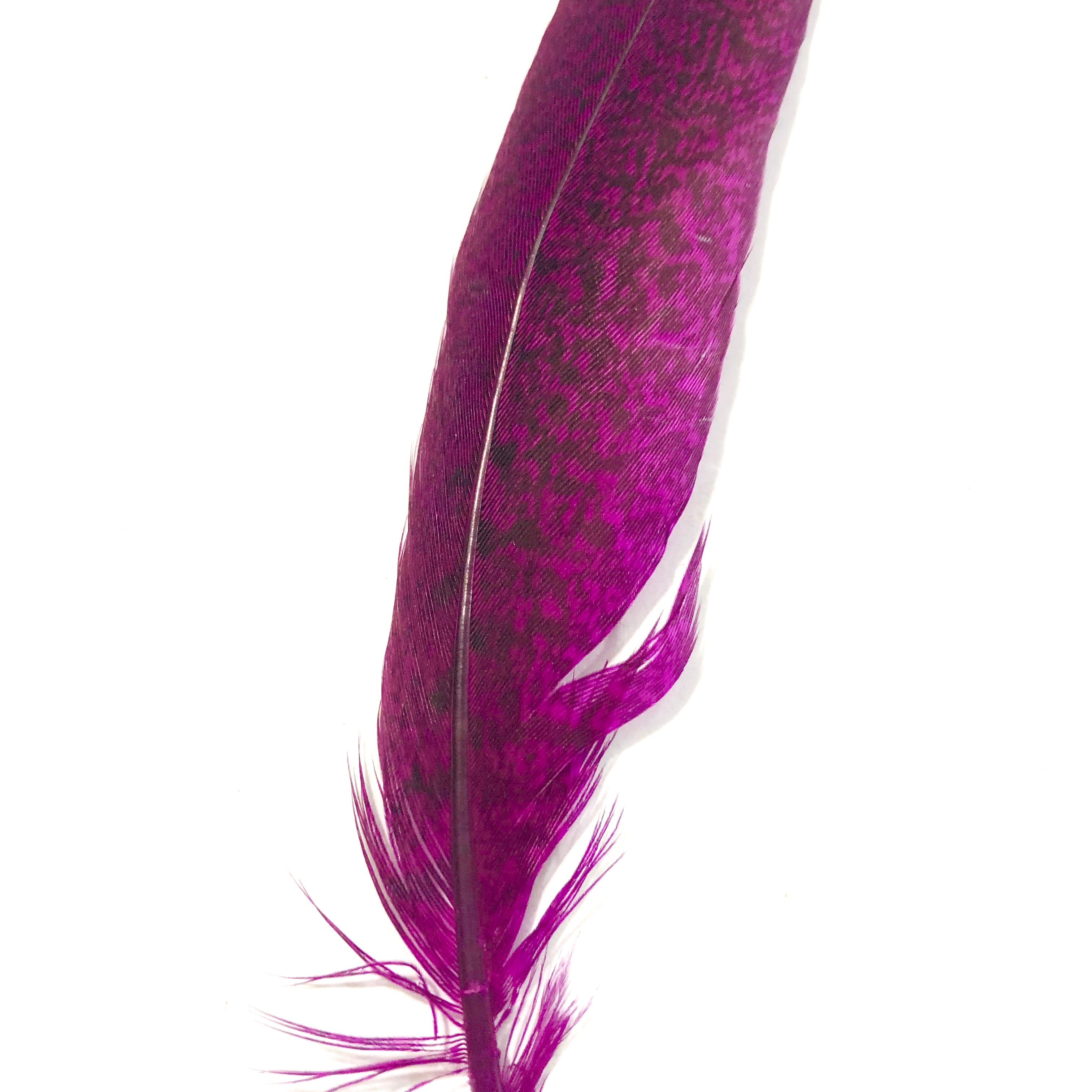 Under 6" Ringneck Pheasant Tail Feather x 10 pcs - Cerise