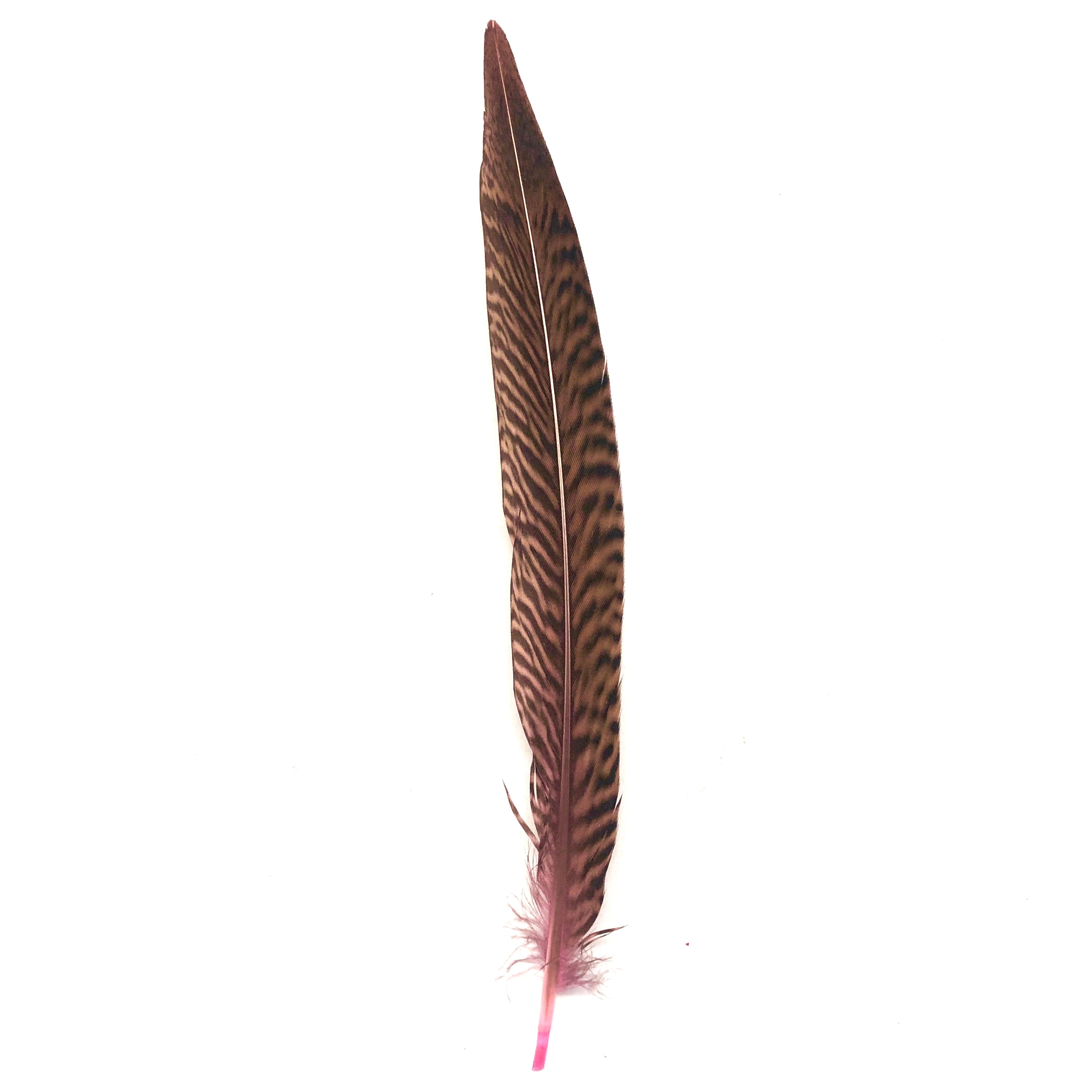 6" to 10" Golden Pheasant Side Tail Feather x 10 pcs - Pink