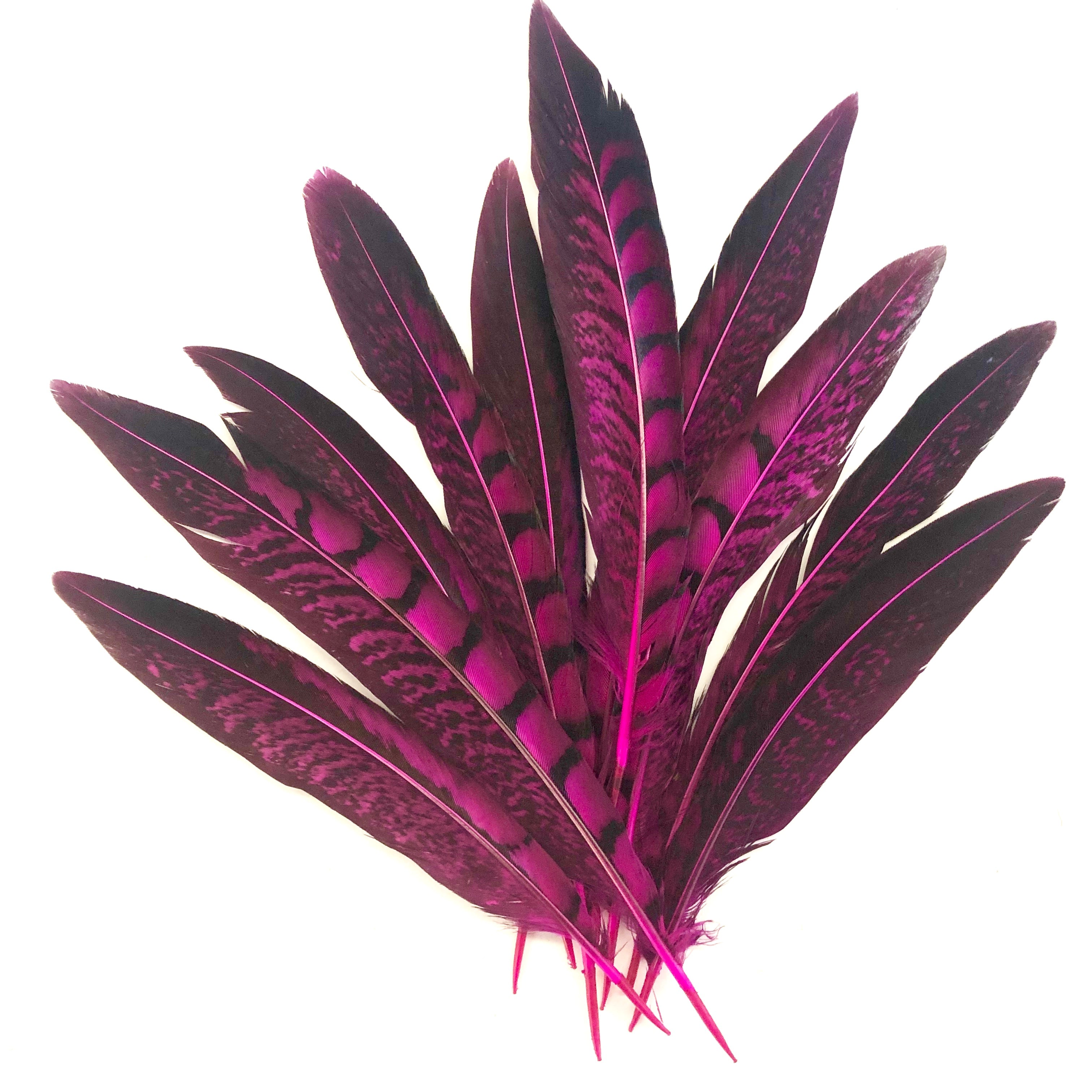 5" to 10" Lady Amherst Pheasant Side Tail Feather x 10 pcs - Cerise