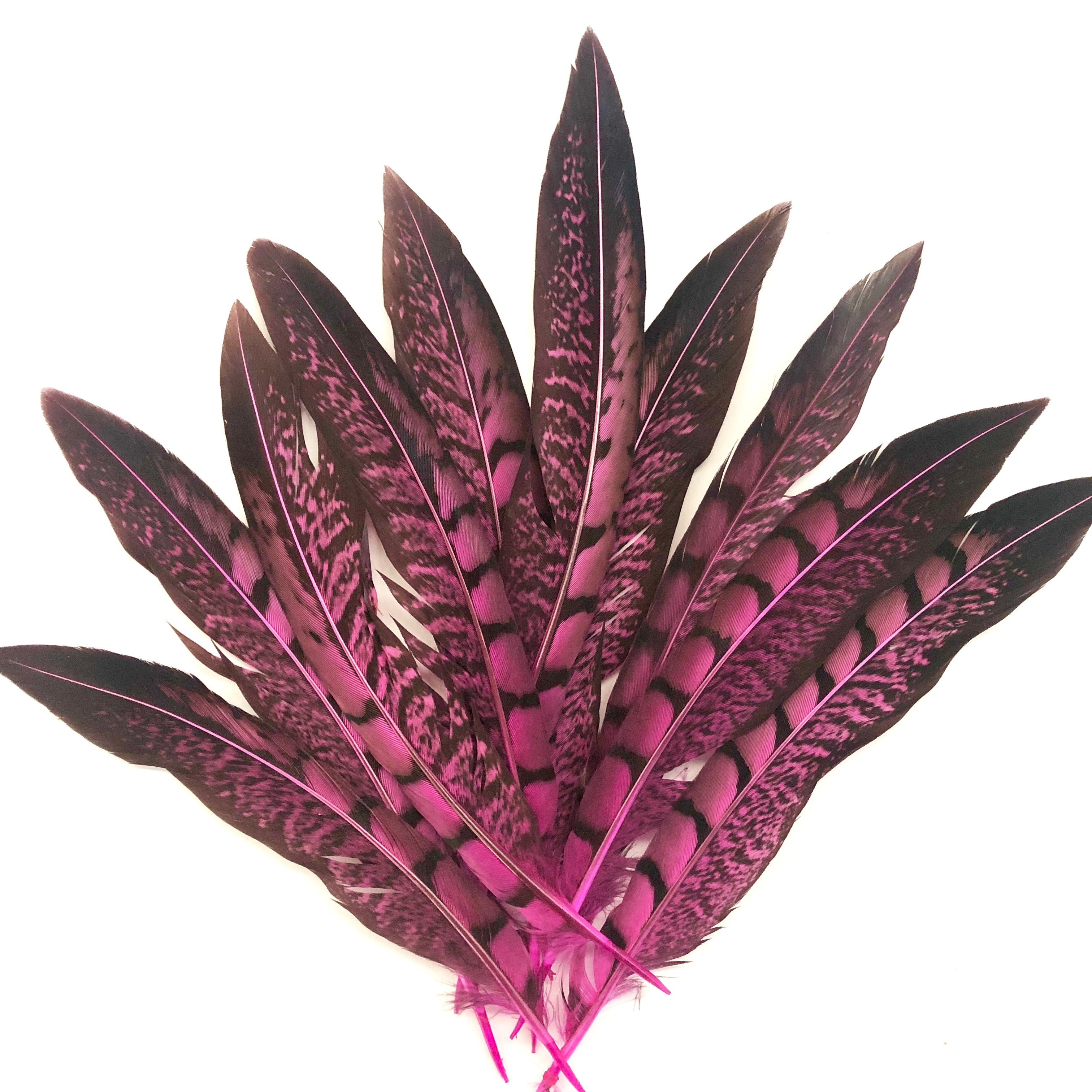 5" to 10" Lady Amherst Pheasant Side Tail Feather x 10 pcs - Hot Pink