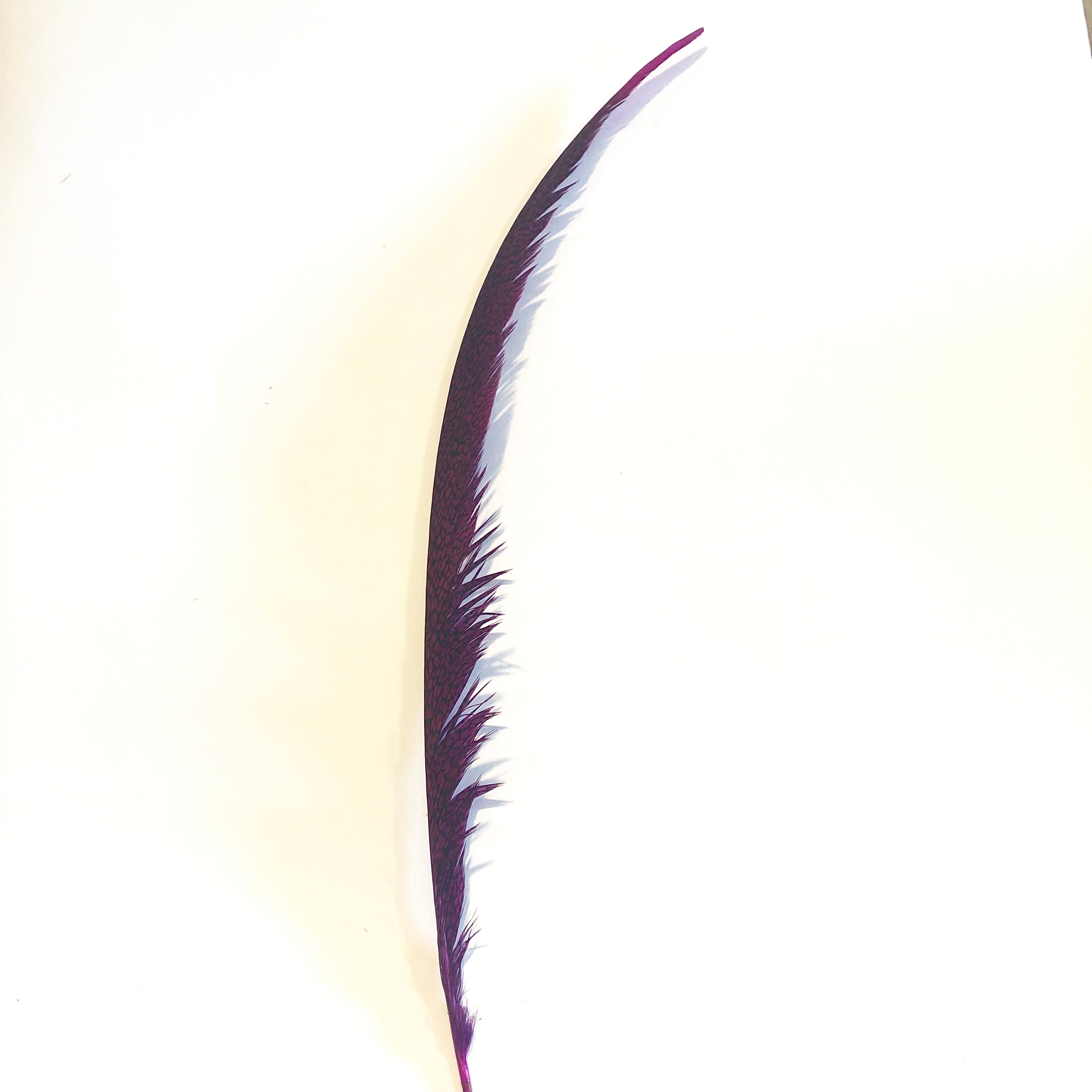 Golden Pheasant Centre Tail Feather - Cerise