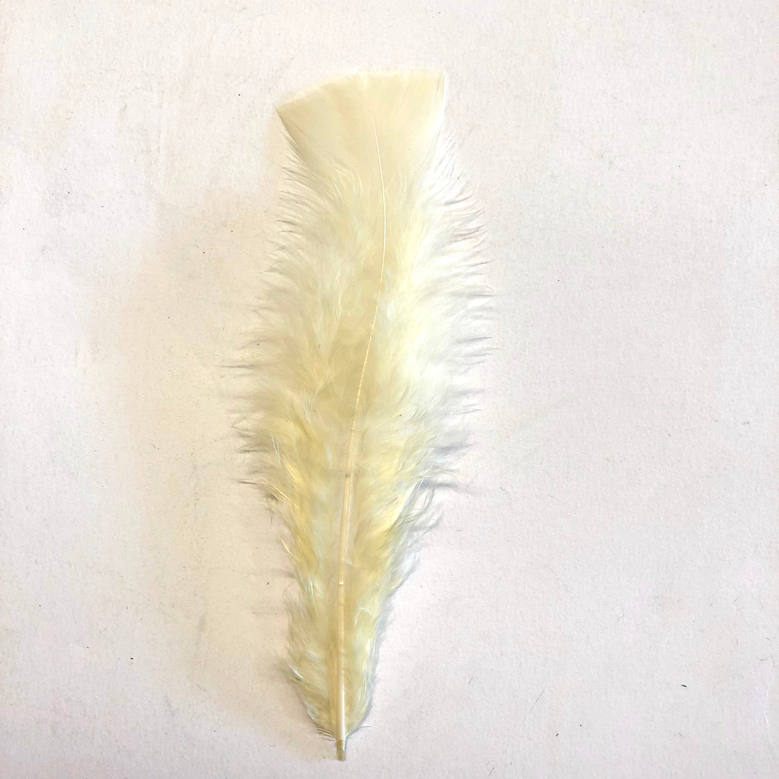 Flat Top Marabou Feather Pack 10 grams - Cream