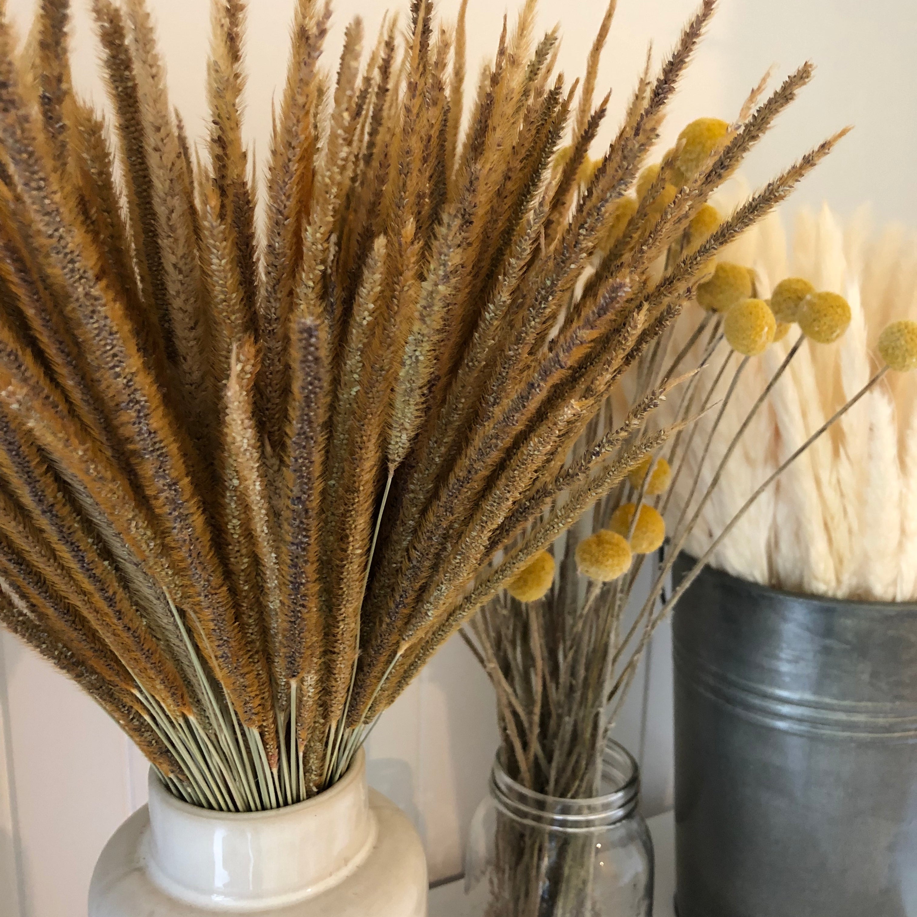 Dried Kirin Grass Stems x 10 pcs - Natural