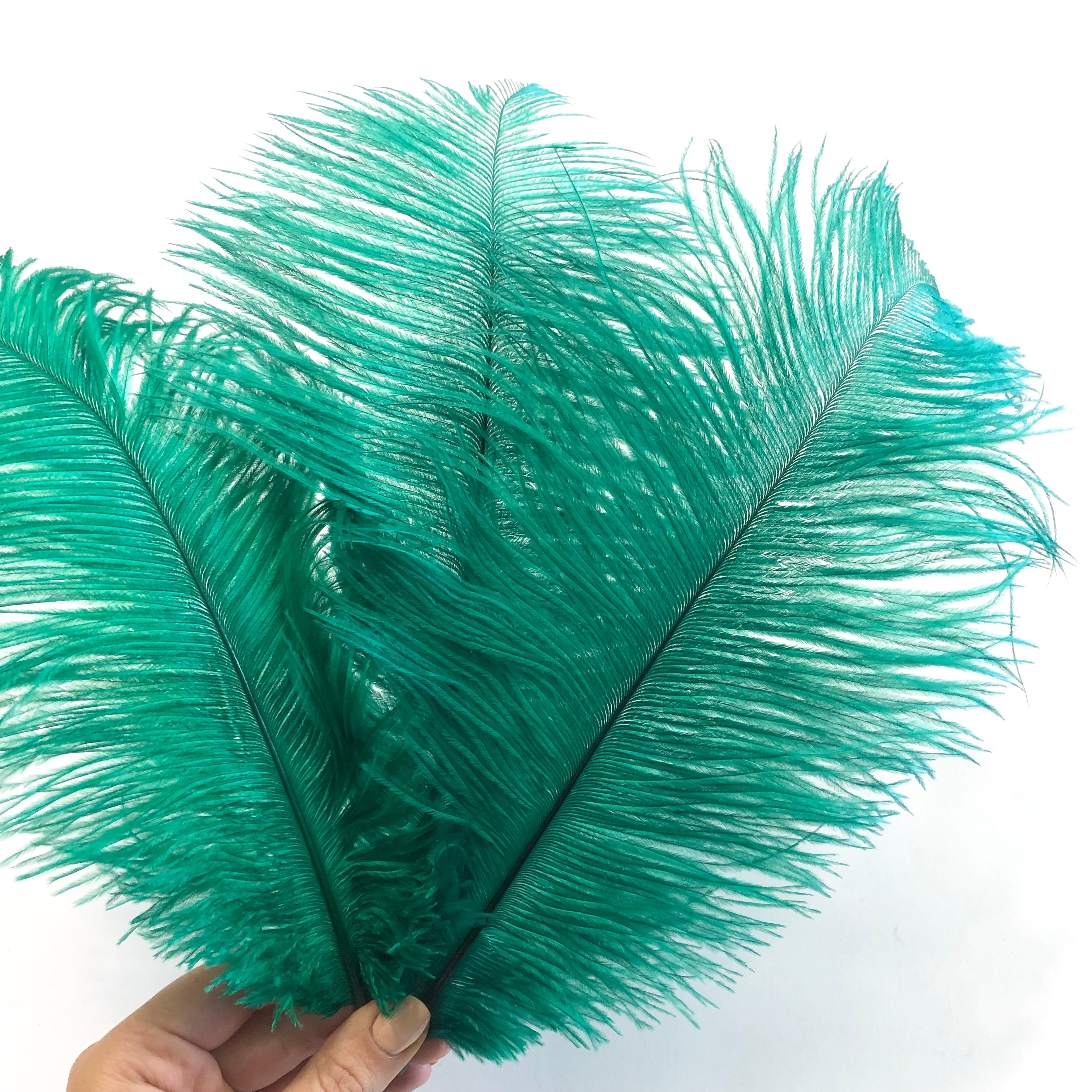Ostrich Drab Feather 27-32cm - Green *Seconds* Pack of 5