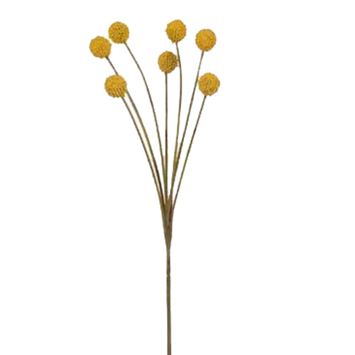 ARTIFICIAL Australian Native Craspedia Billy Button Flower SPRAY - Yellow