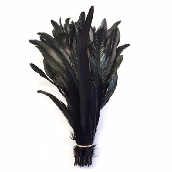Coque Tail Feathers 8-10" 240mm - 10 grams - Black Dyed